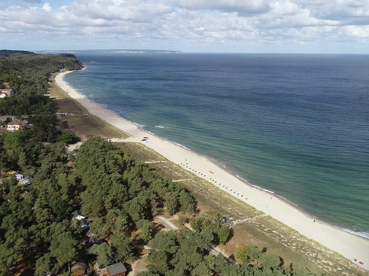 Ostsee Strandhaus Seerobbe