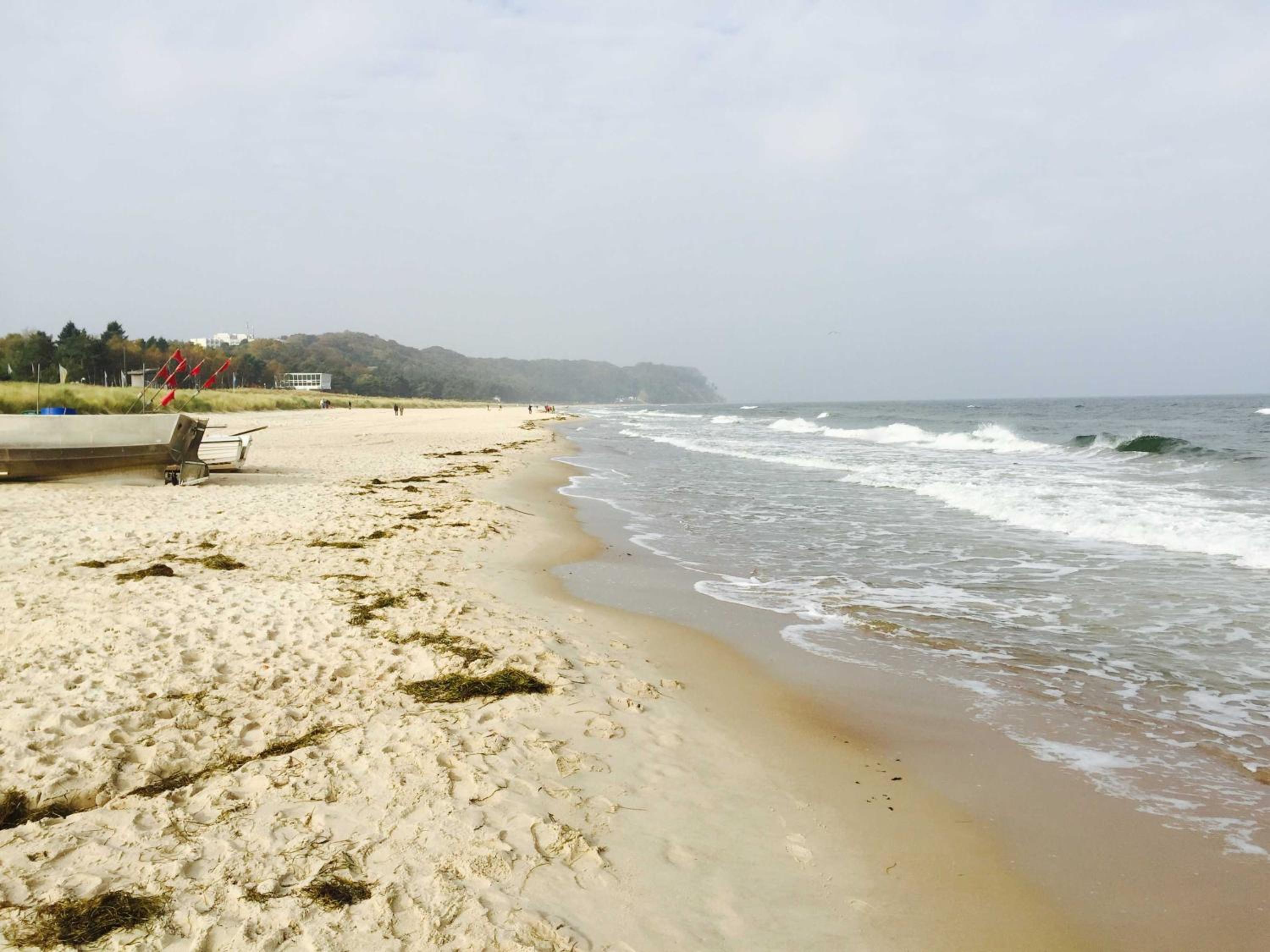Ostsee Strandhaus Seerobbe