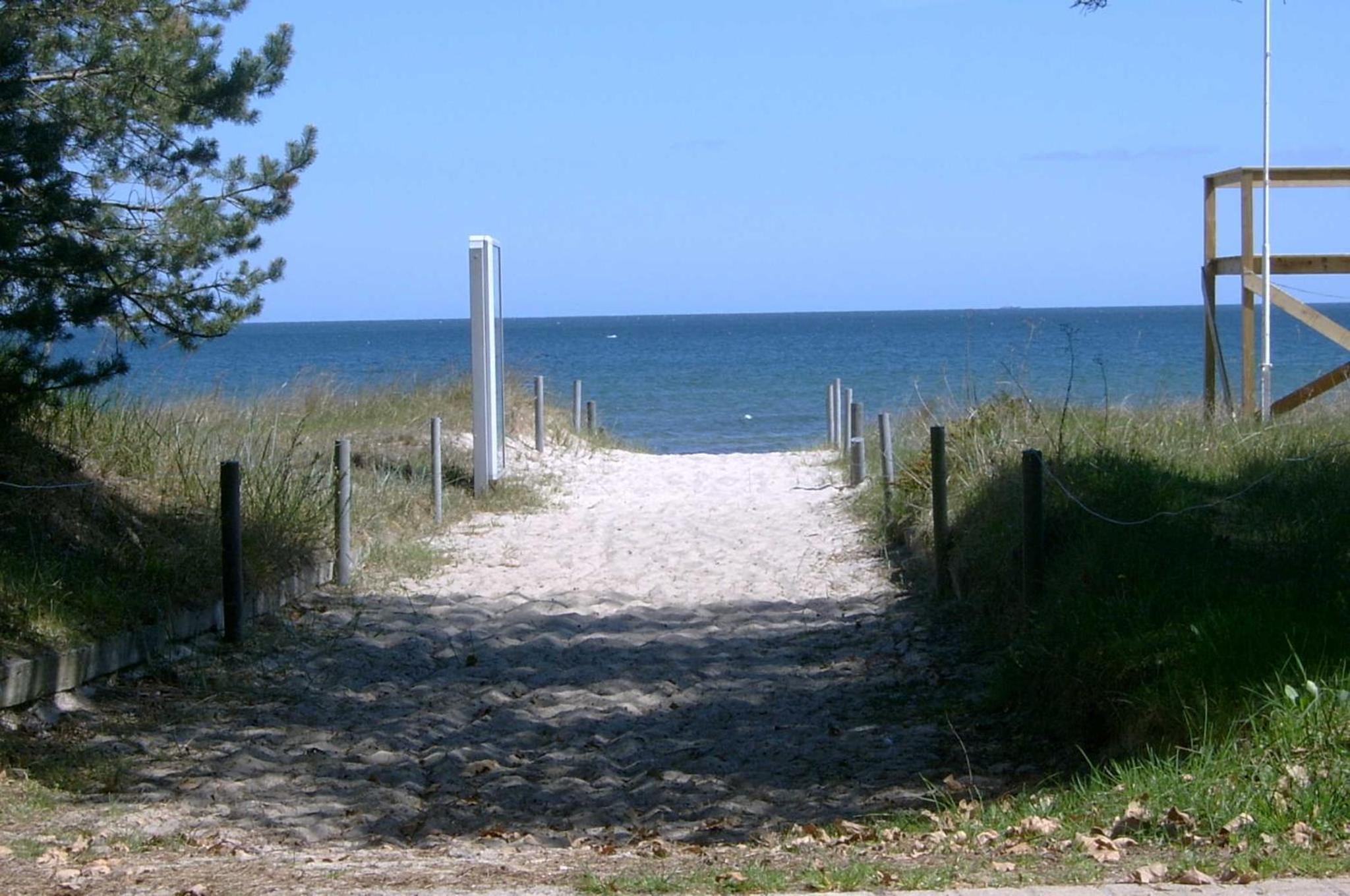 Ostsee Strandhaus Seerobbe