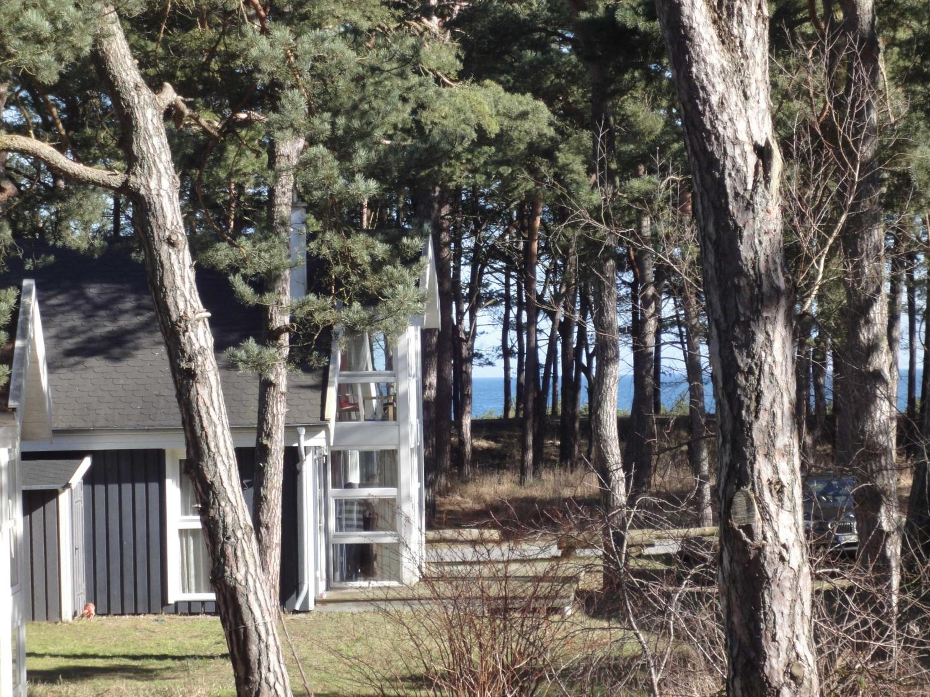Ostsee Strandhaus Seerobbe