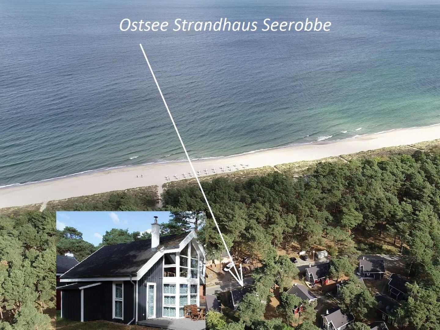 Ostsee Strandhaus Seerobbe