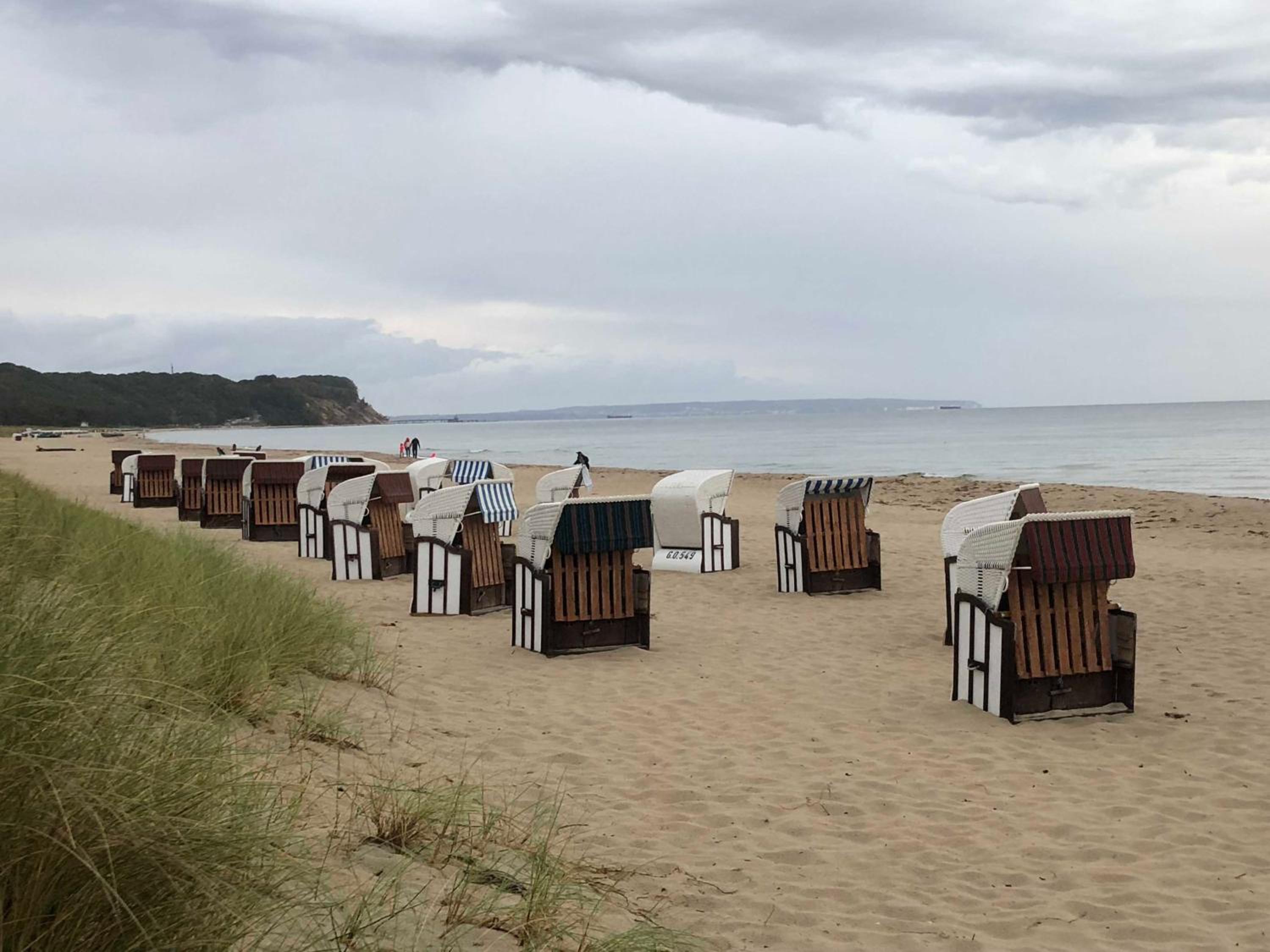 Ostsee Strandhaus Seerobbe