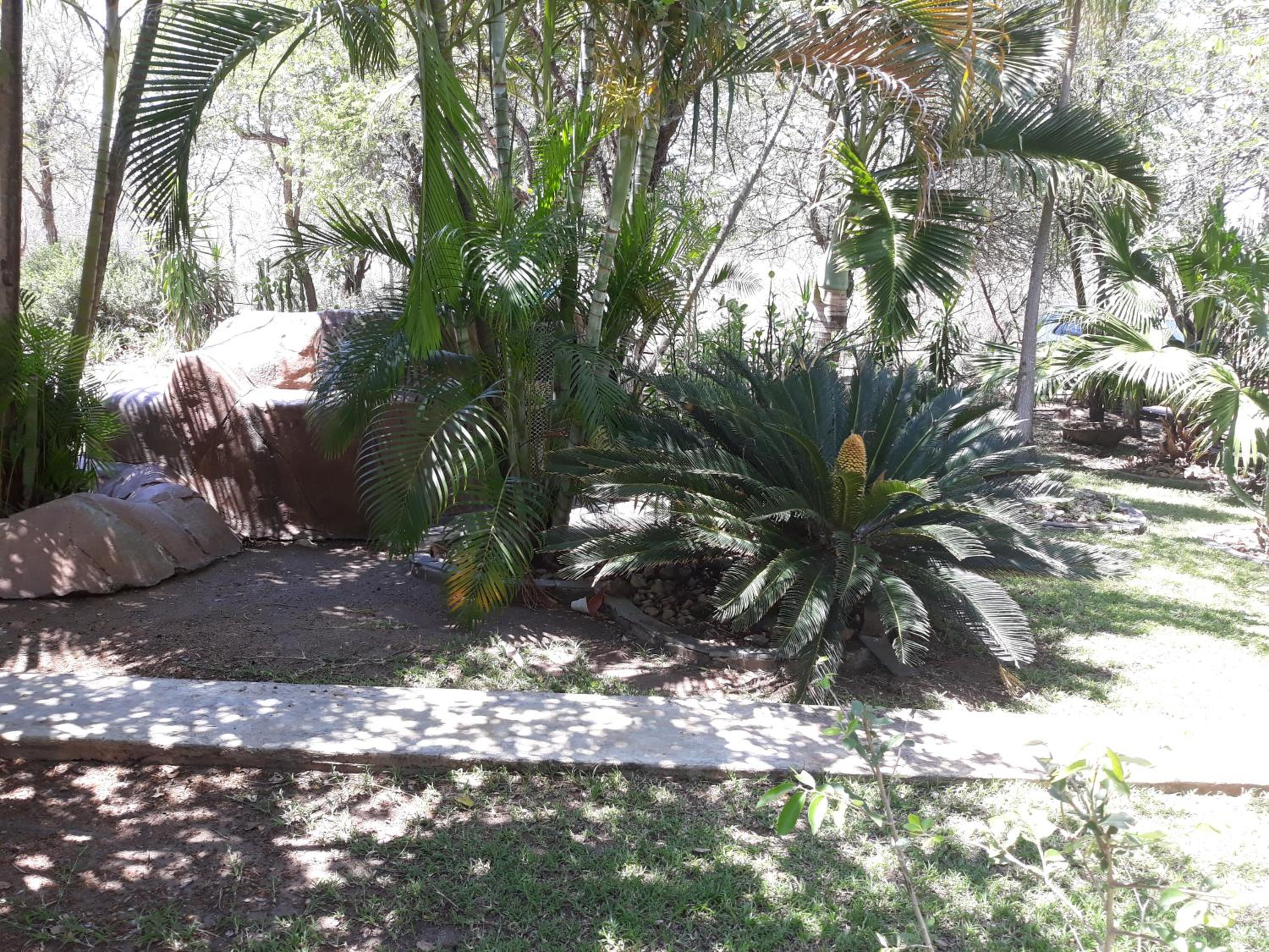 Photo 44