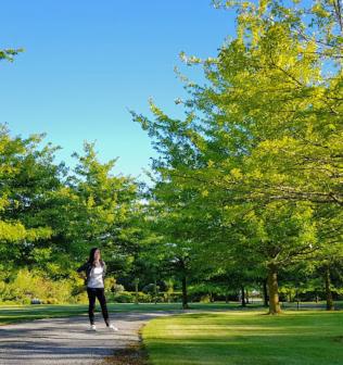 Chester Oaks B&B