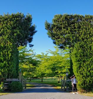 Chester Oaks B&B