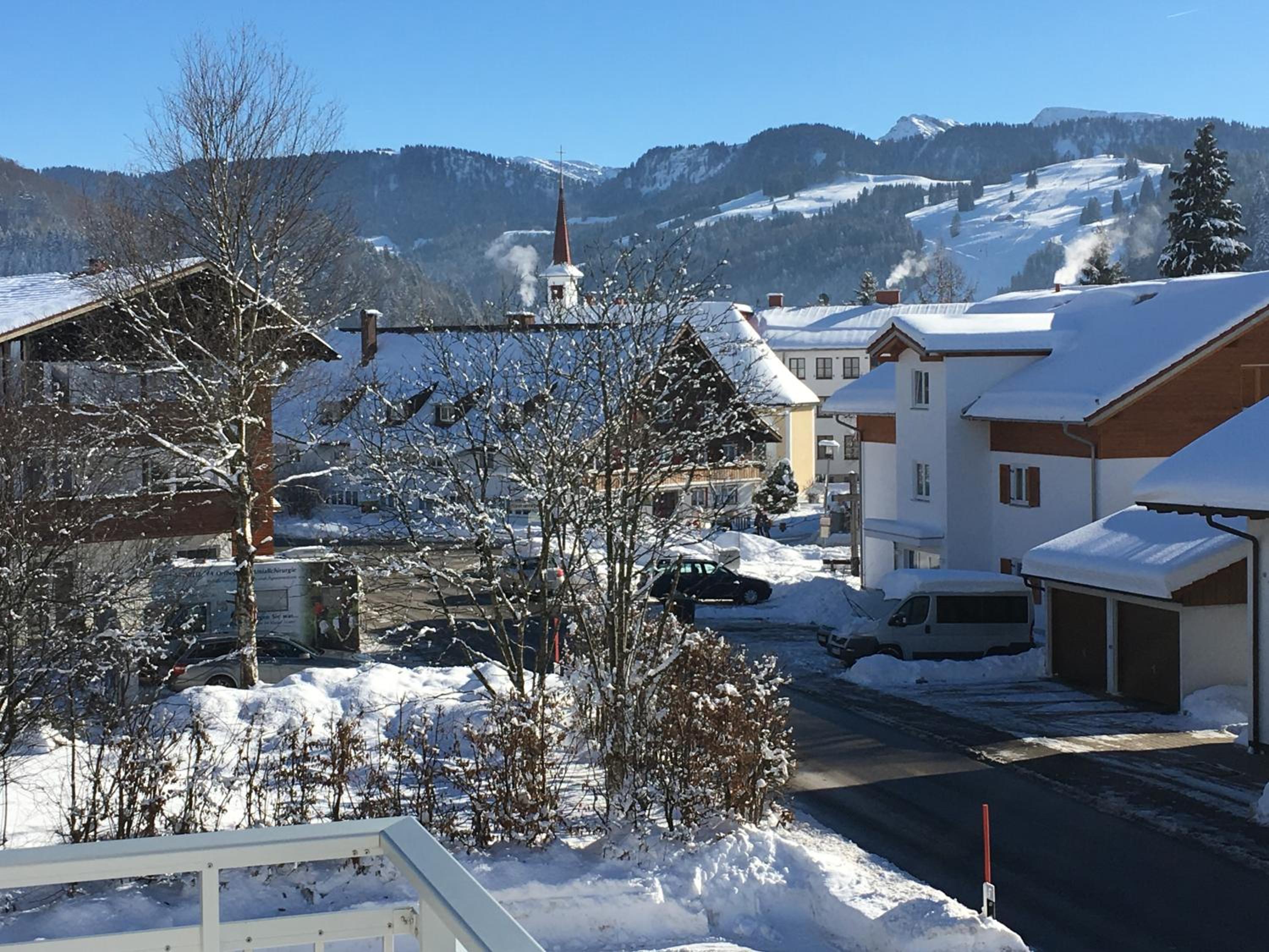 EdelWeiß