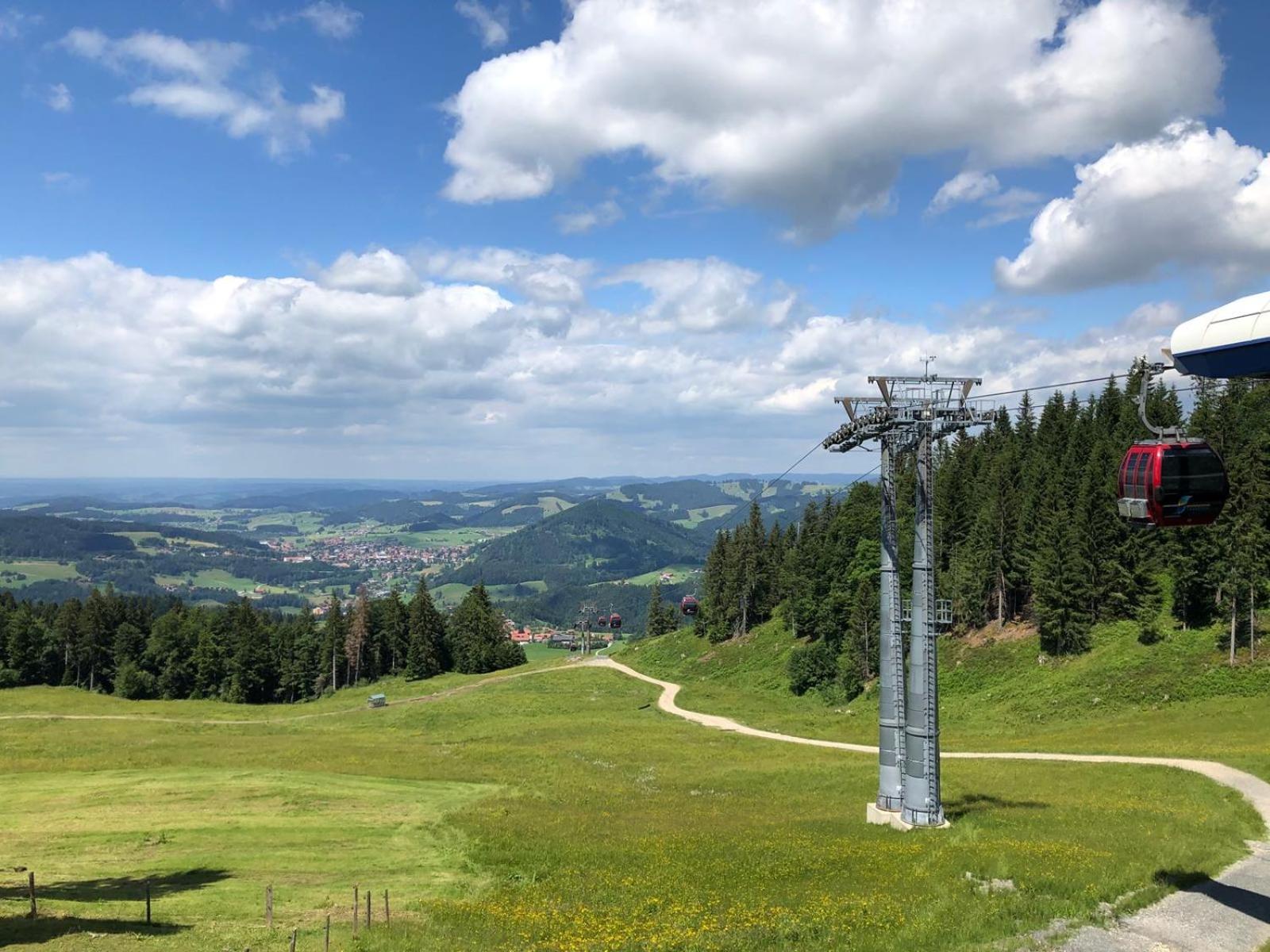 EdelWeiß