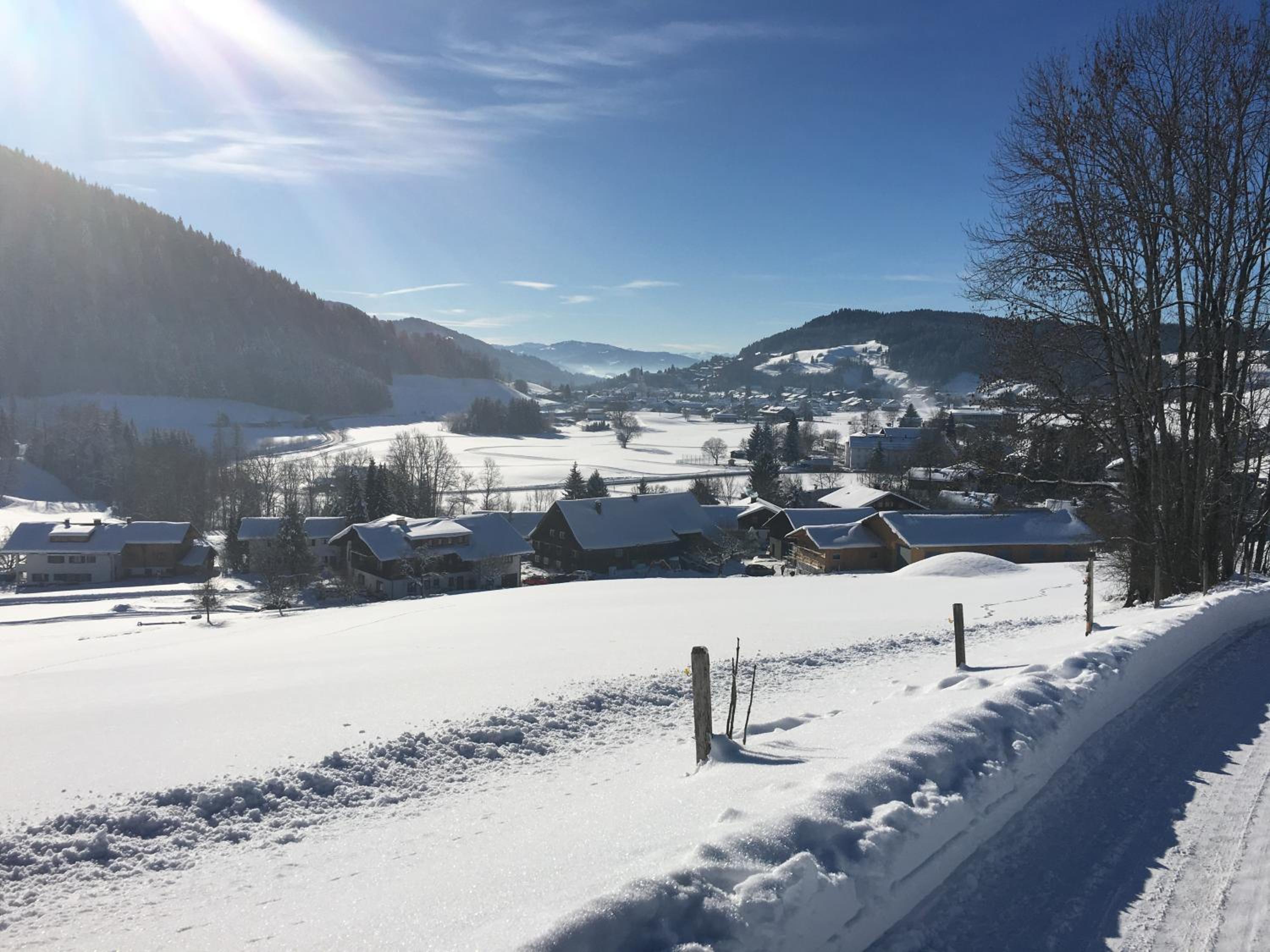 EdelWeiß