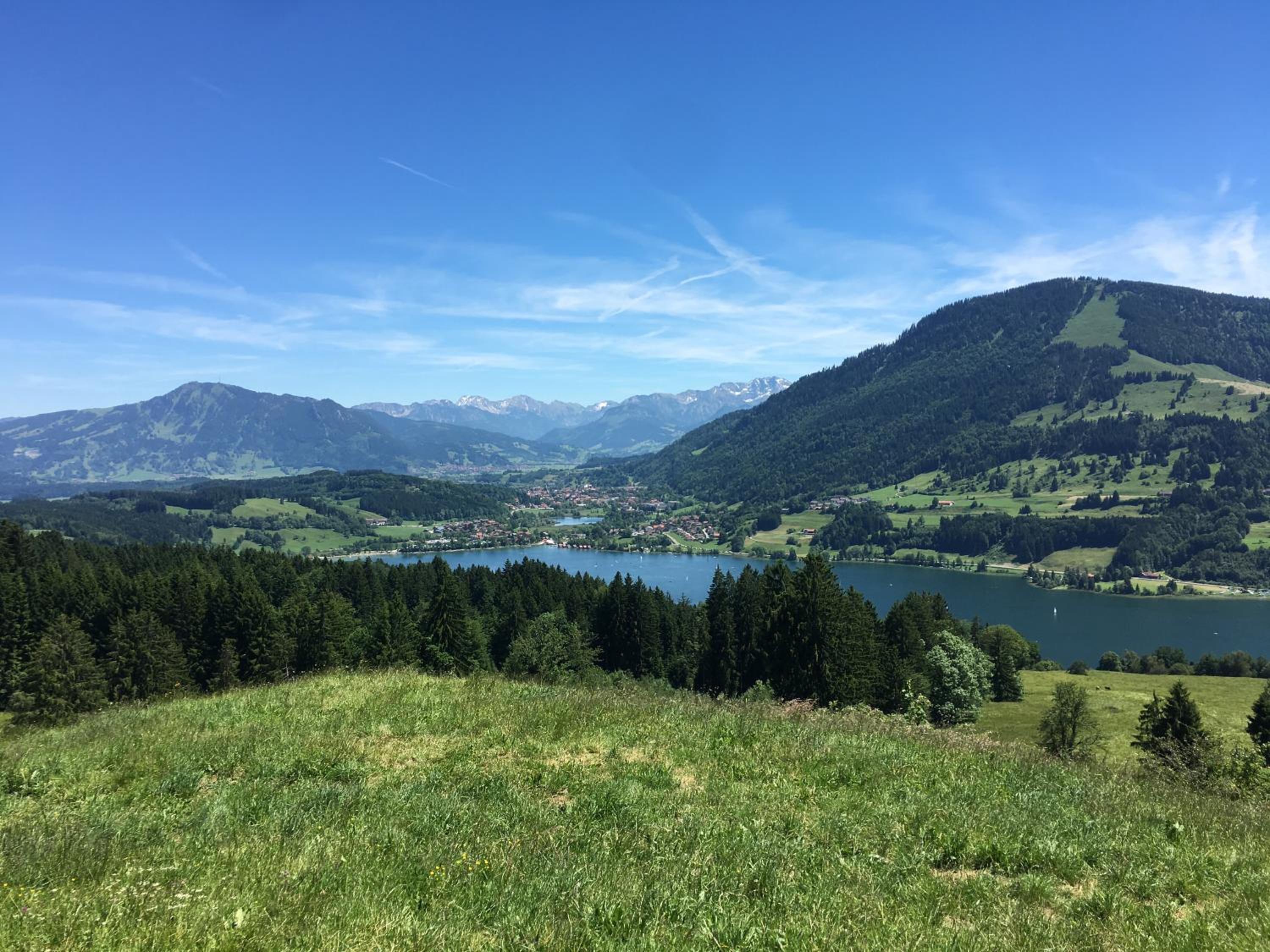 EdelWeiß