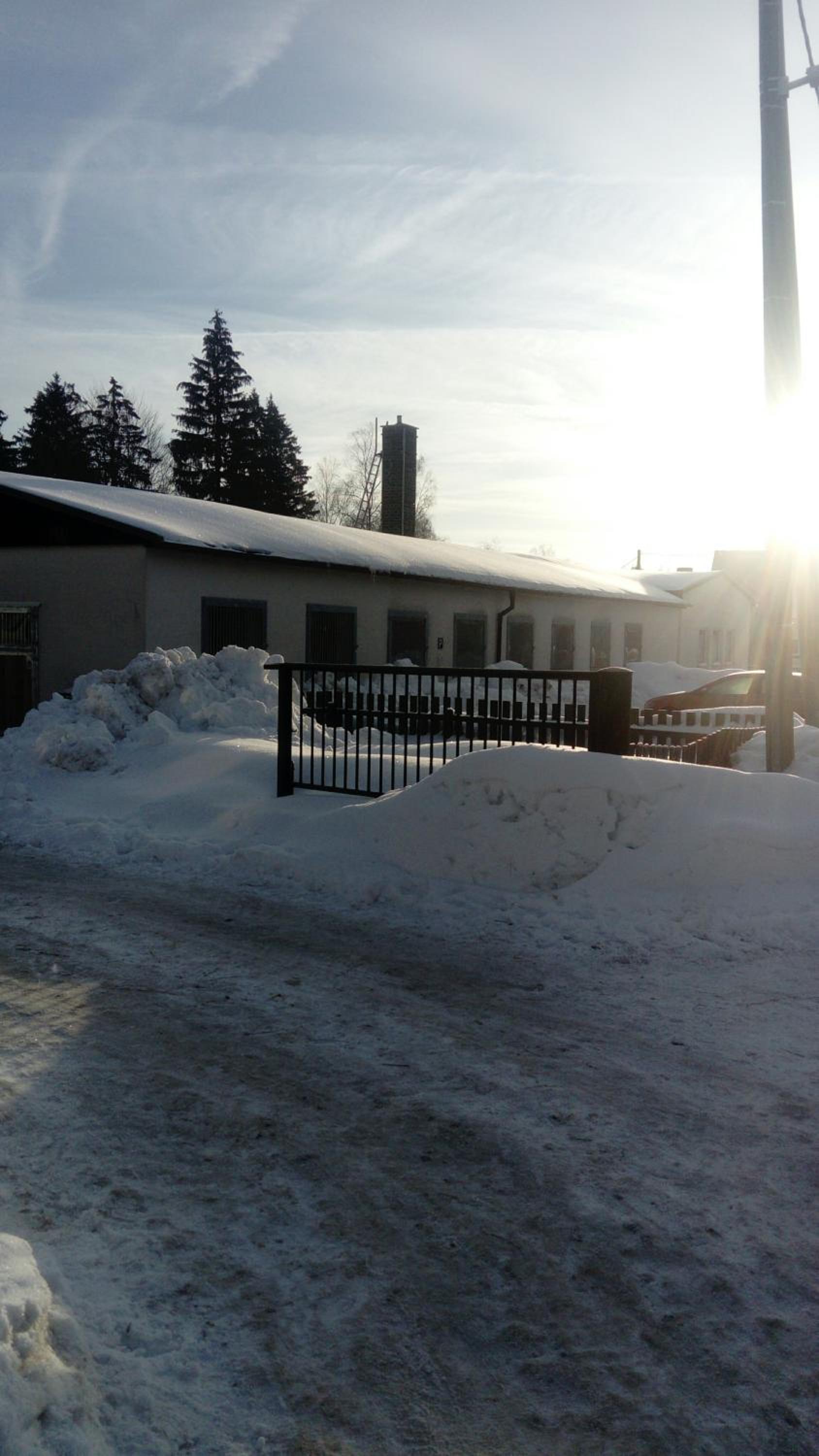 Reiterhof & Pension Lienemann