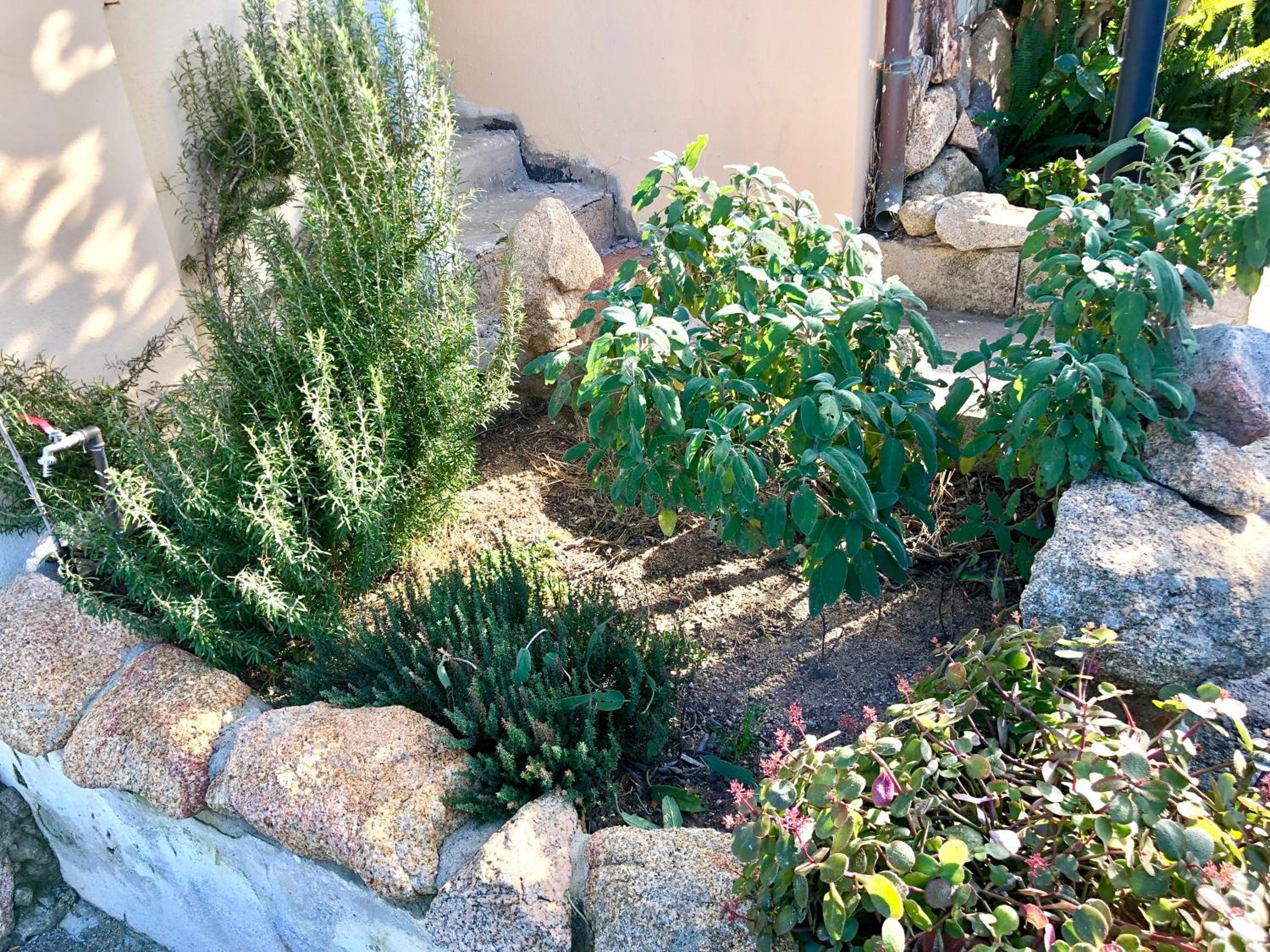 Casa Dolce Hibiscus view 4