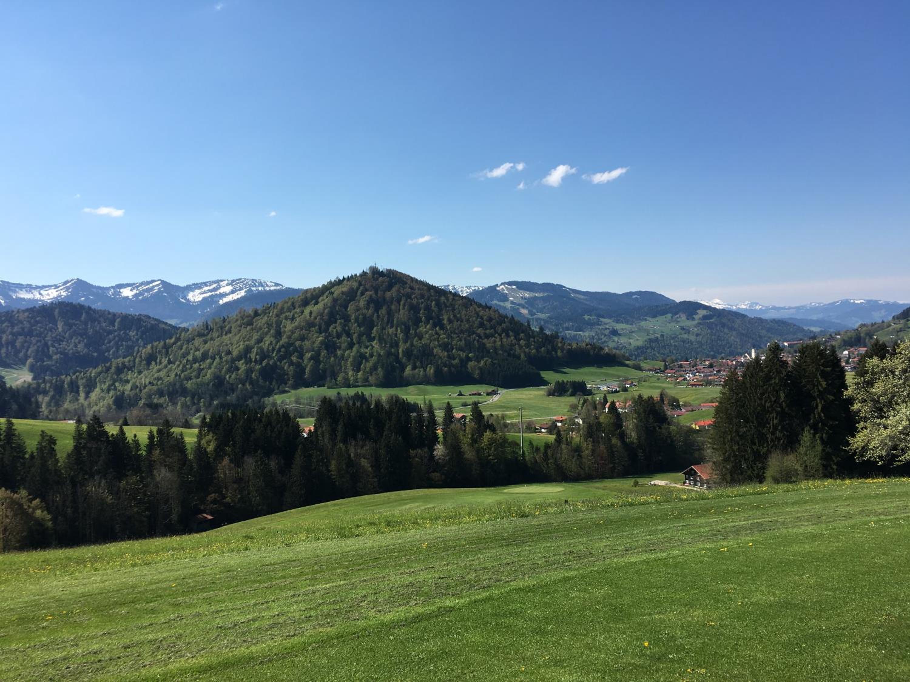 EdelWeiß