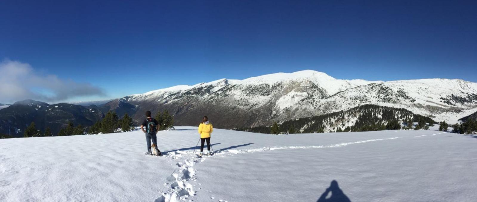 Photo 32