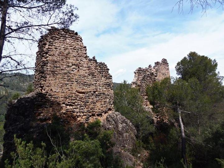 Photo 41