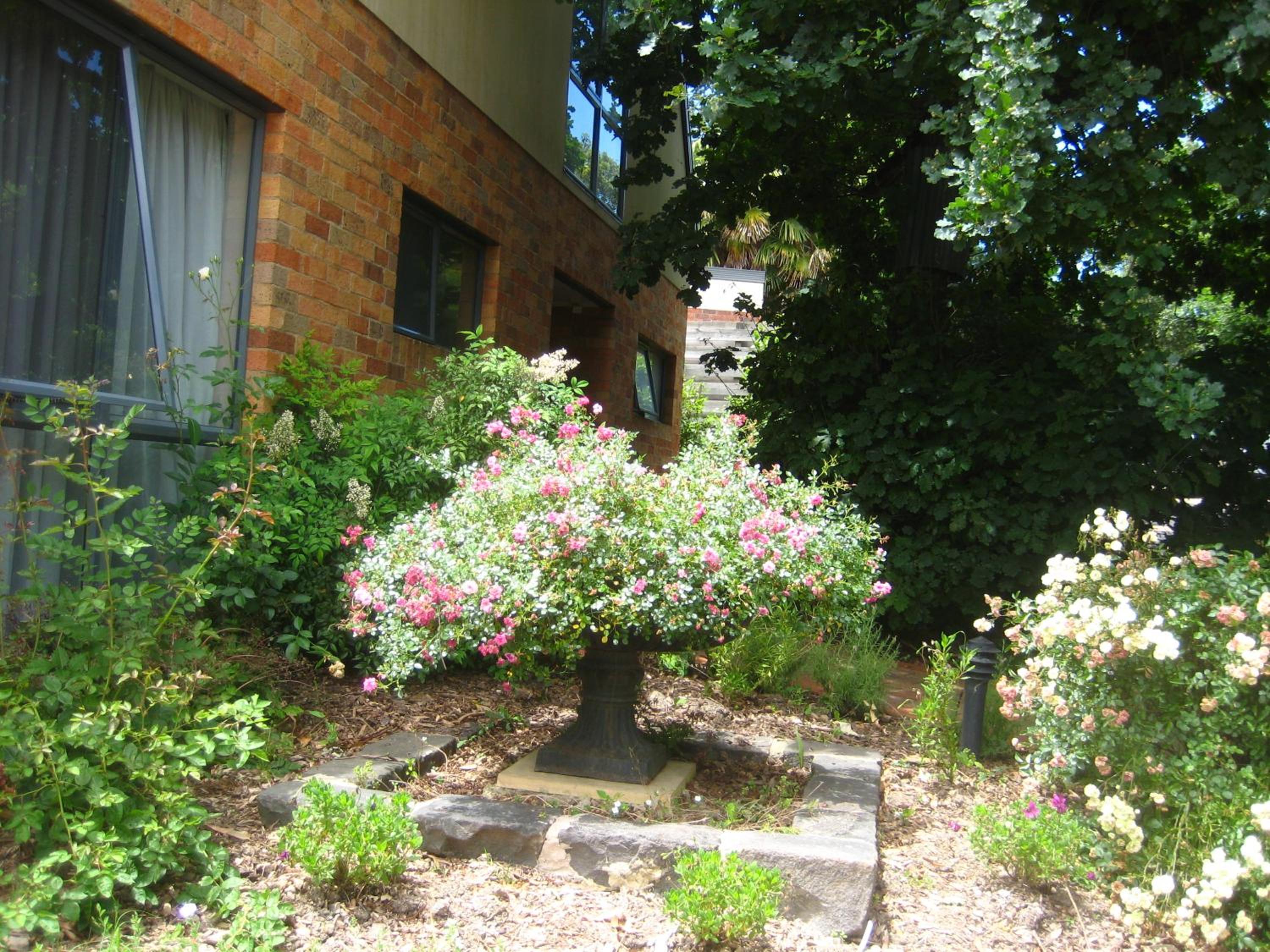 Photo 22