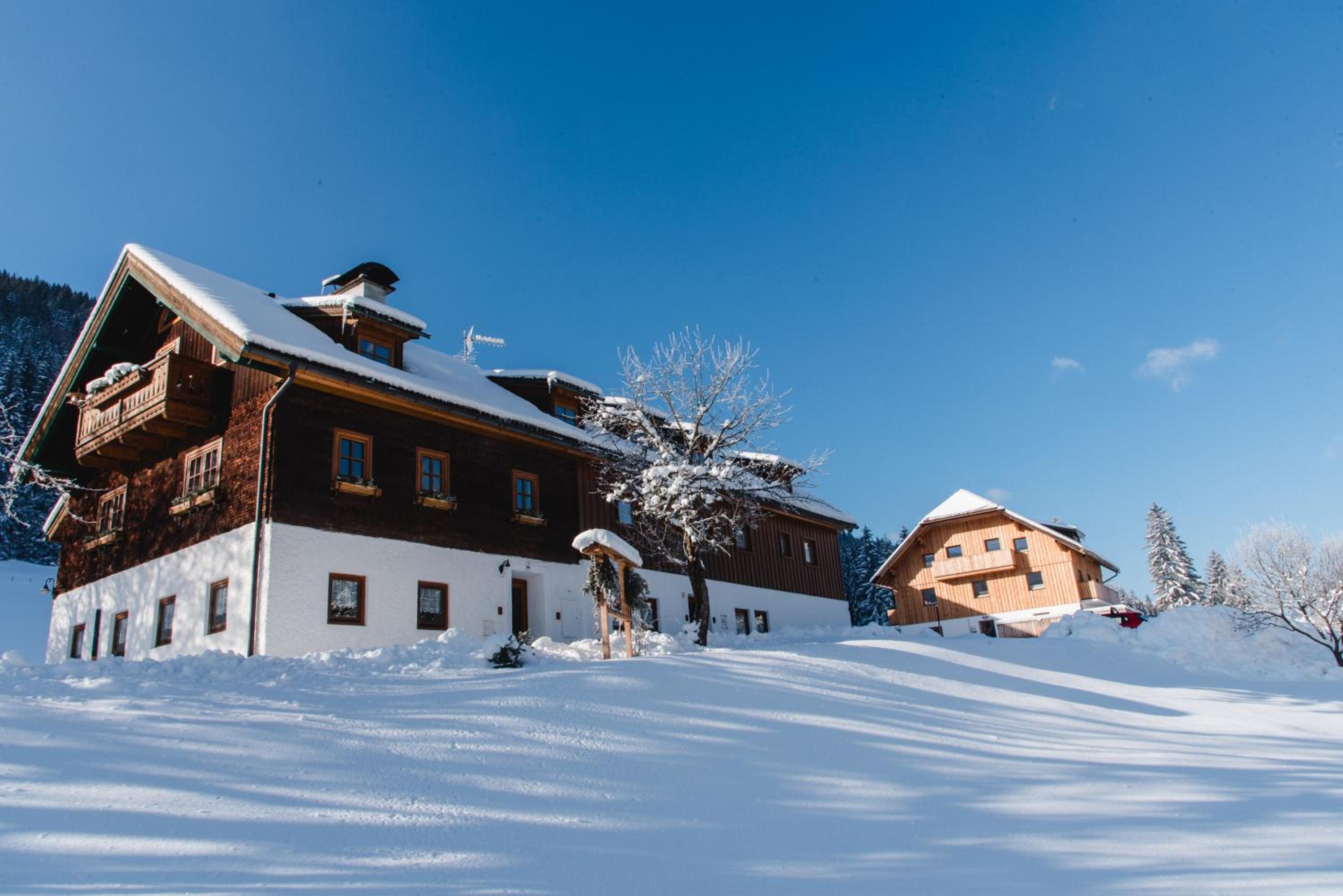 Ferienparadies Wiesenbauer
