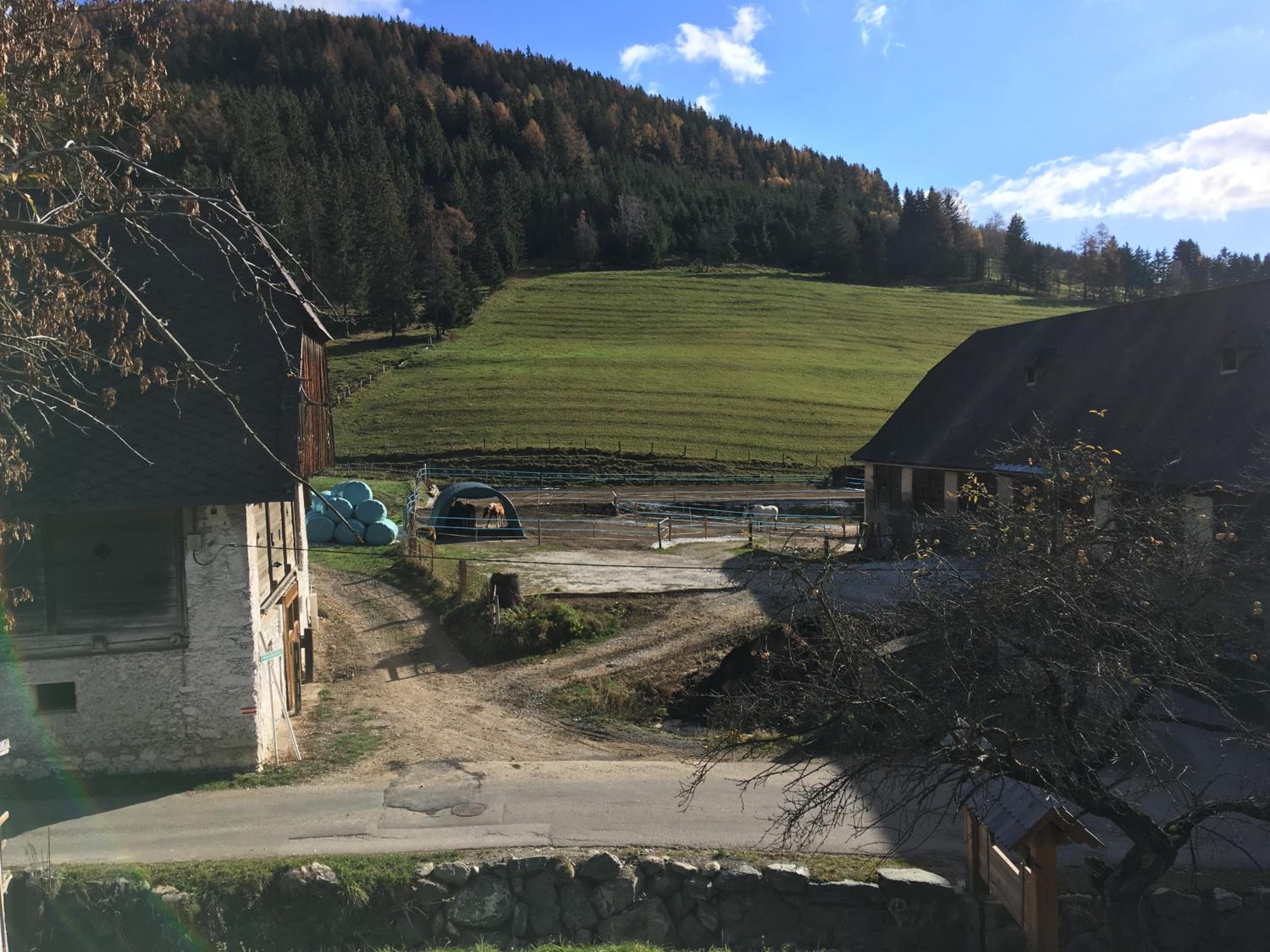 PirkerHof