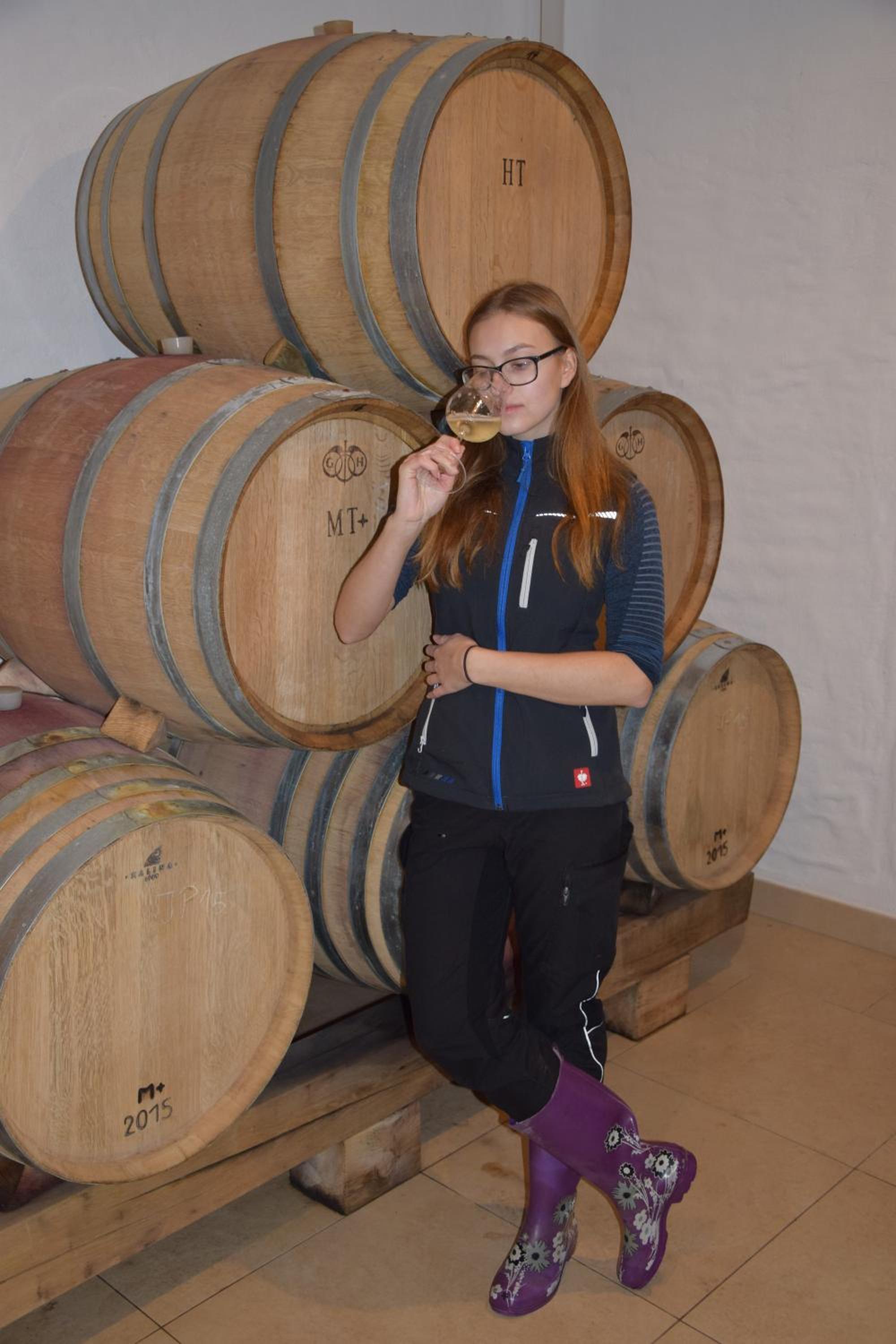 Weingut und Gästezimmer Perner