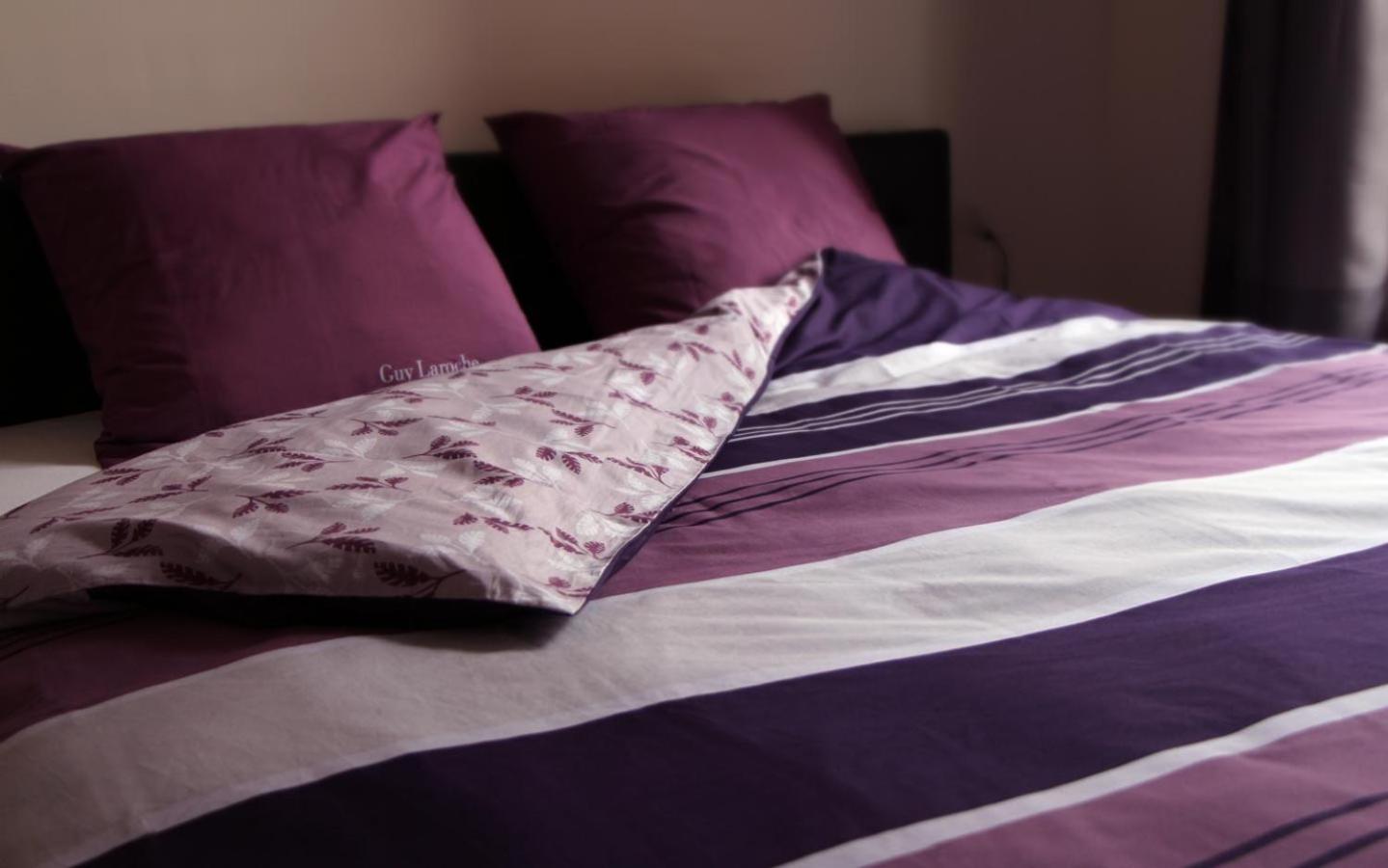 Utrecht Vacations - BB Utrecht Domkwartier - Property Image 12