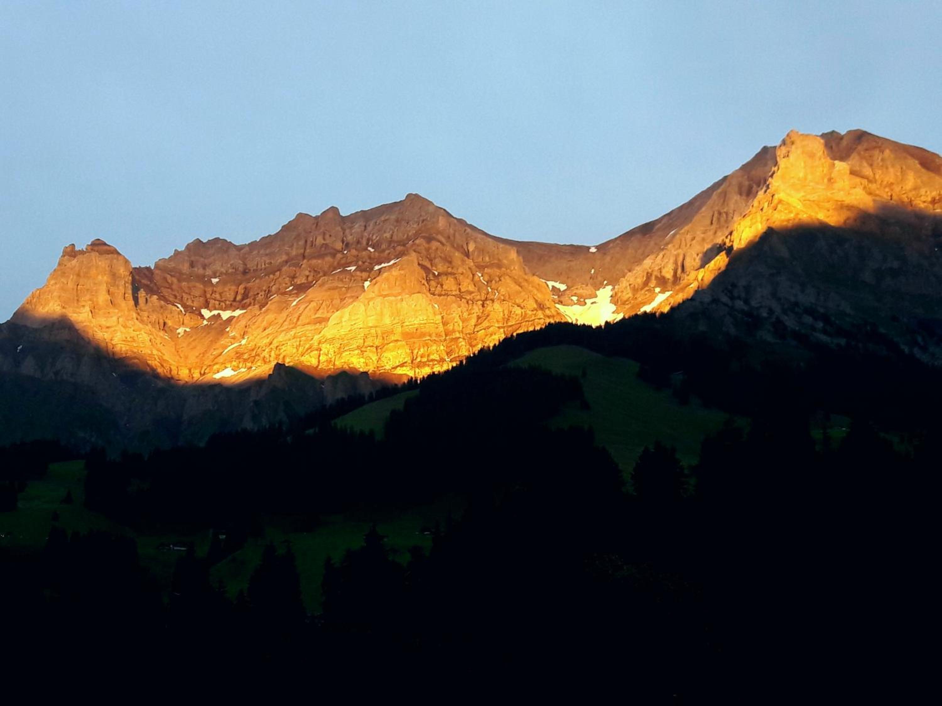 Laubrinus view 4