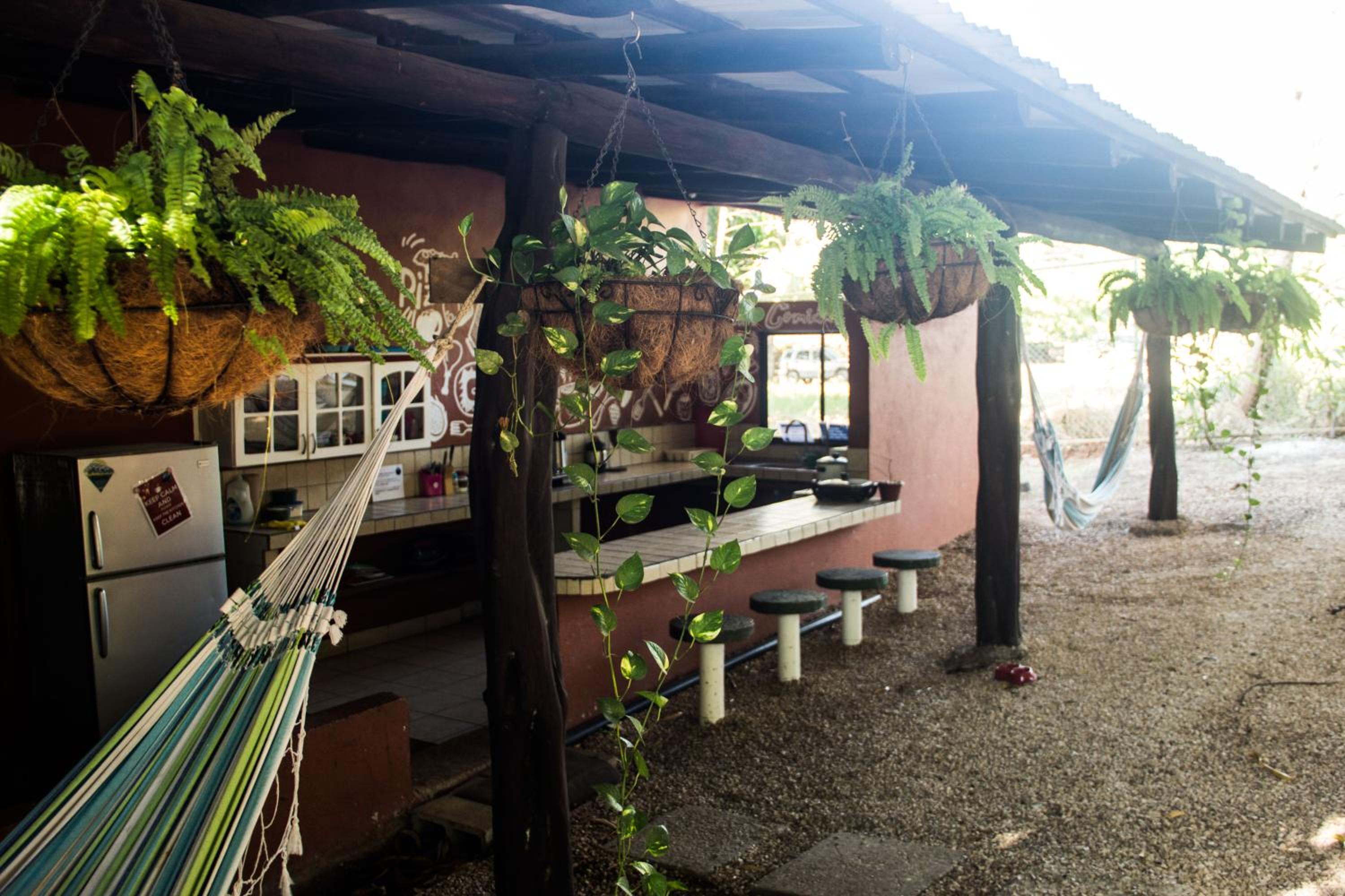 Tsunami Hostel view 3