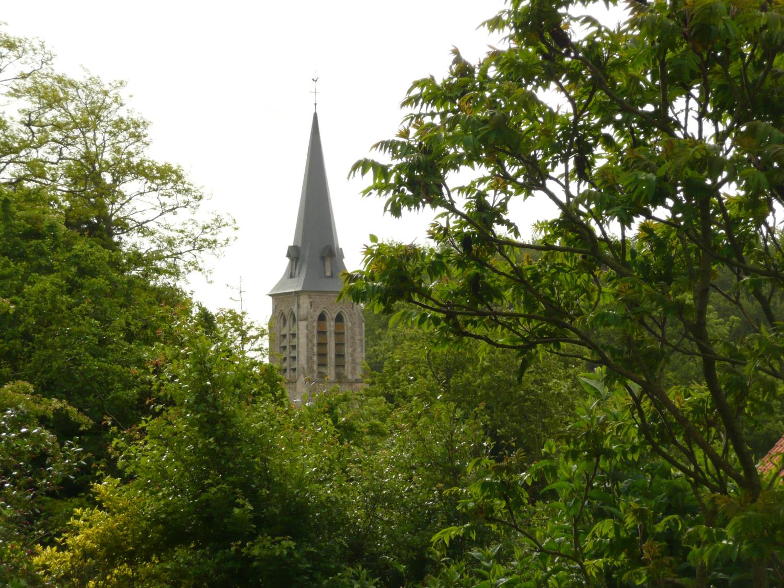 Photo 19