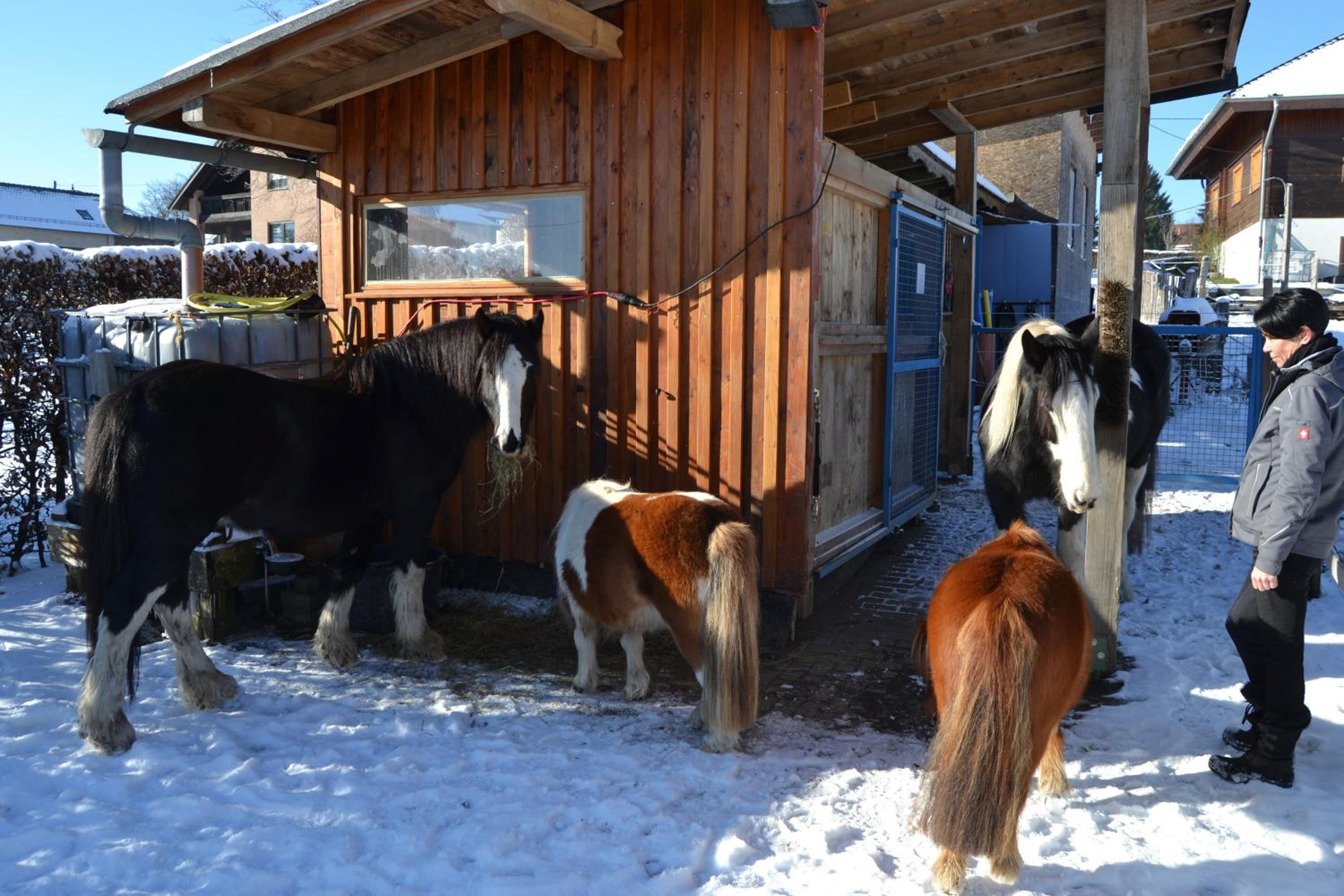 Ferien bei Freunden im Holzhaus view 3