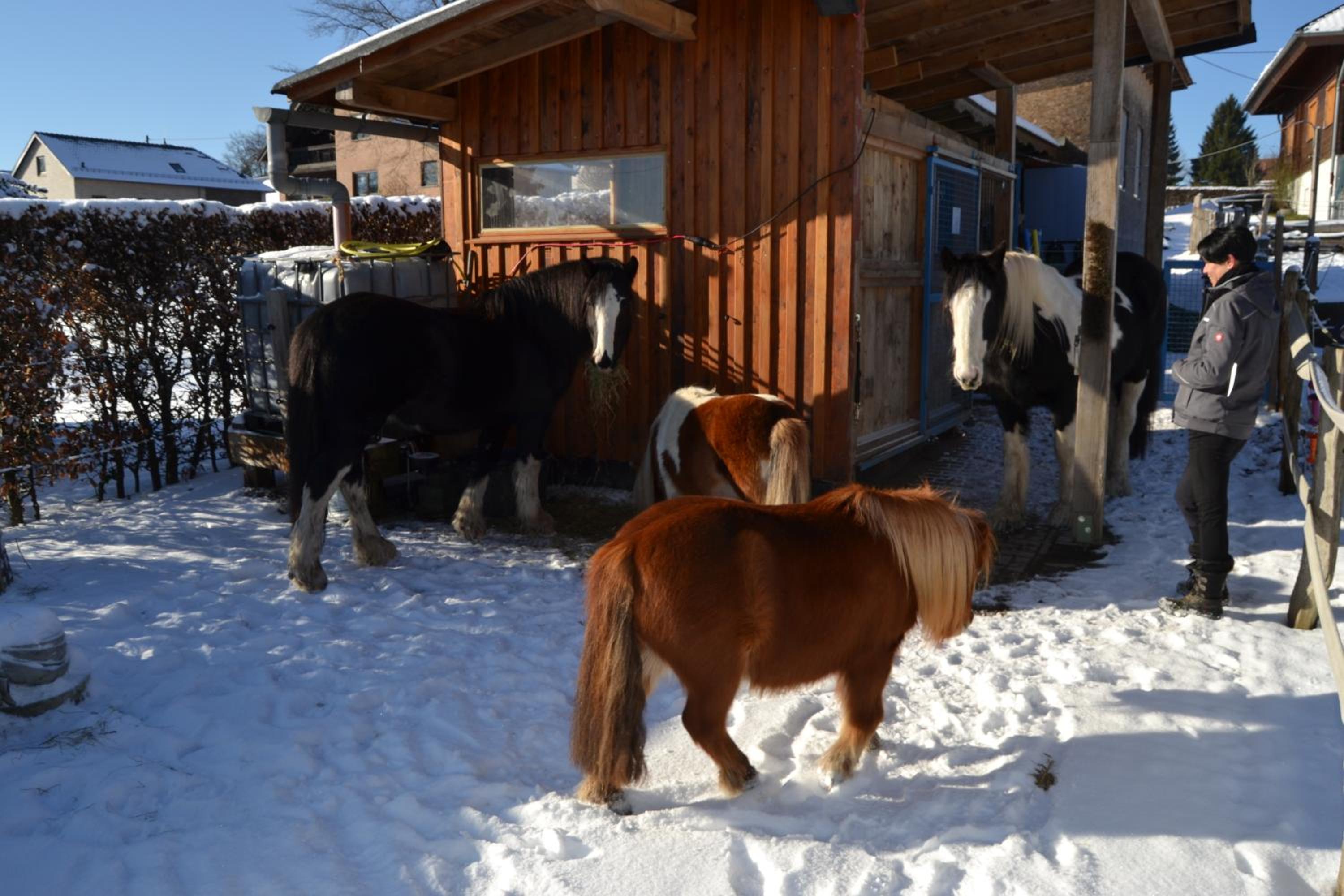 Ferien bei Freunden im Holzhaus view 4