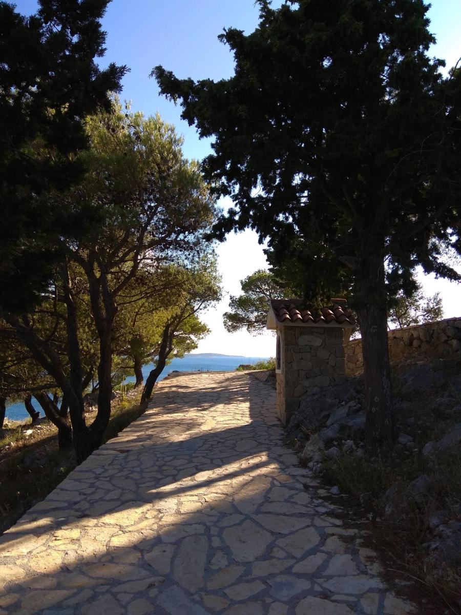 Photo 17