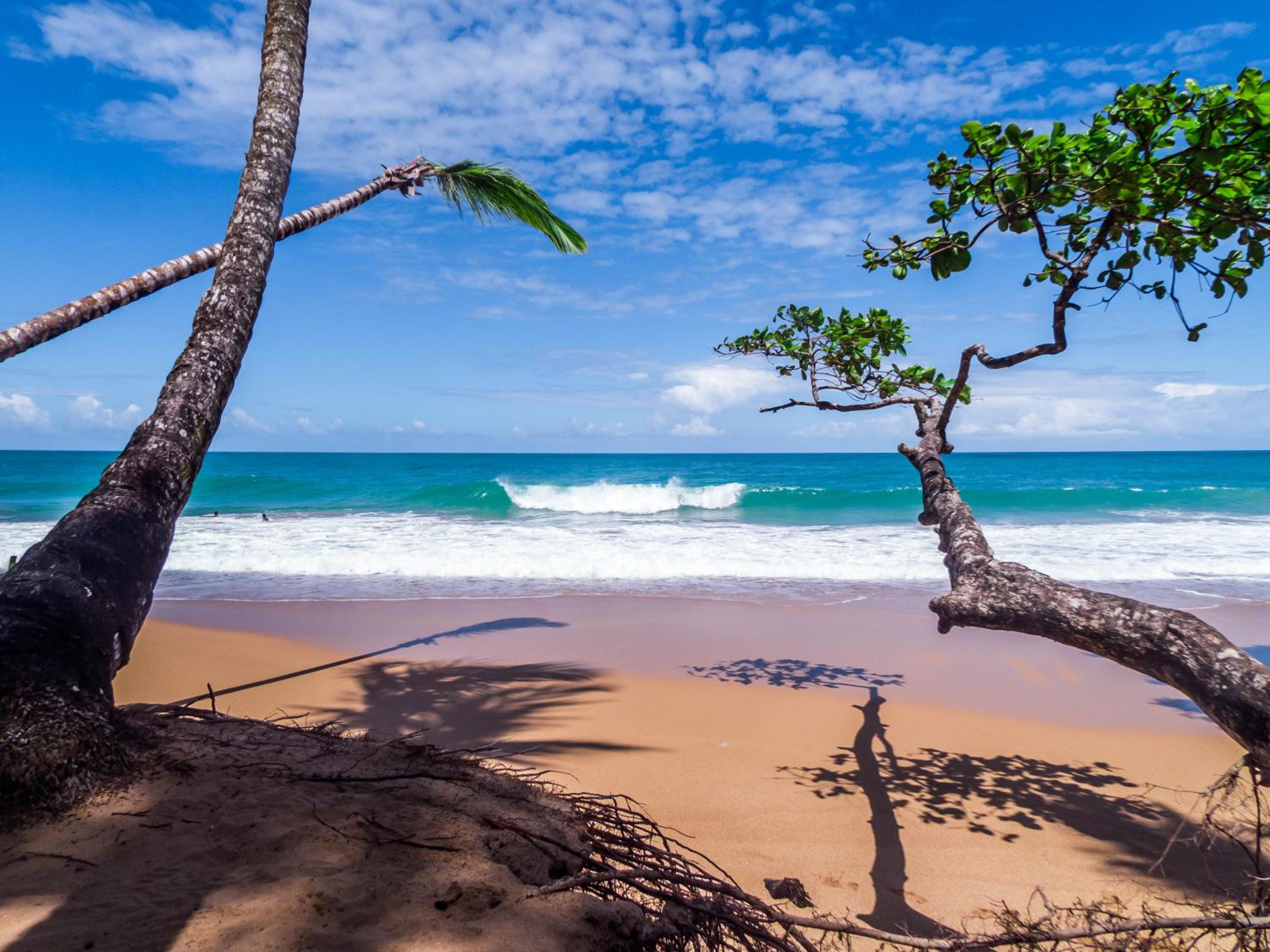 Playa Bluff Lodge