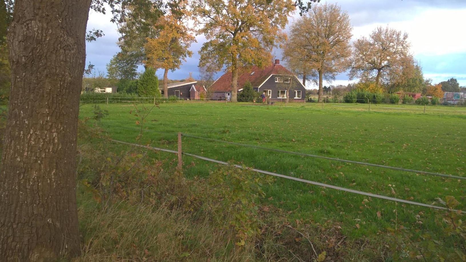 Photo 40