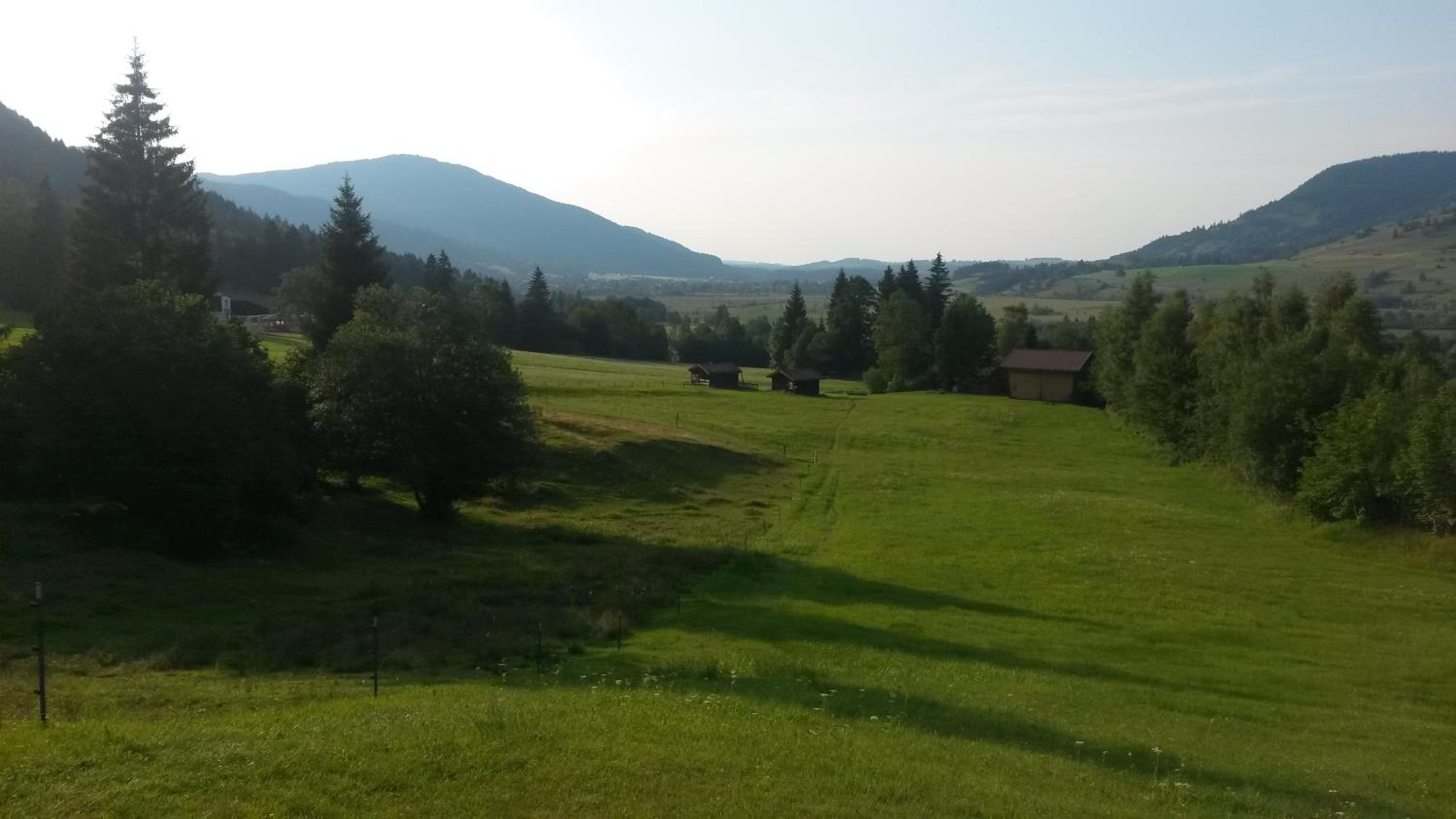 Photo 35