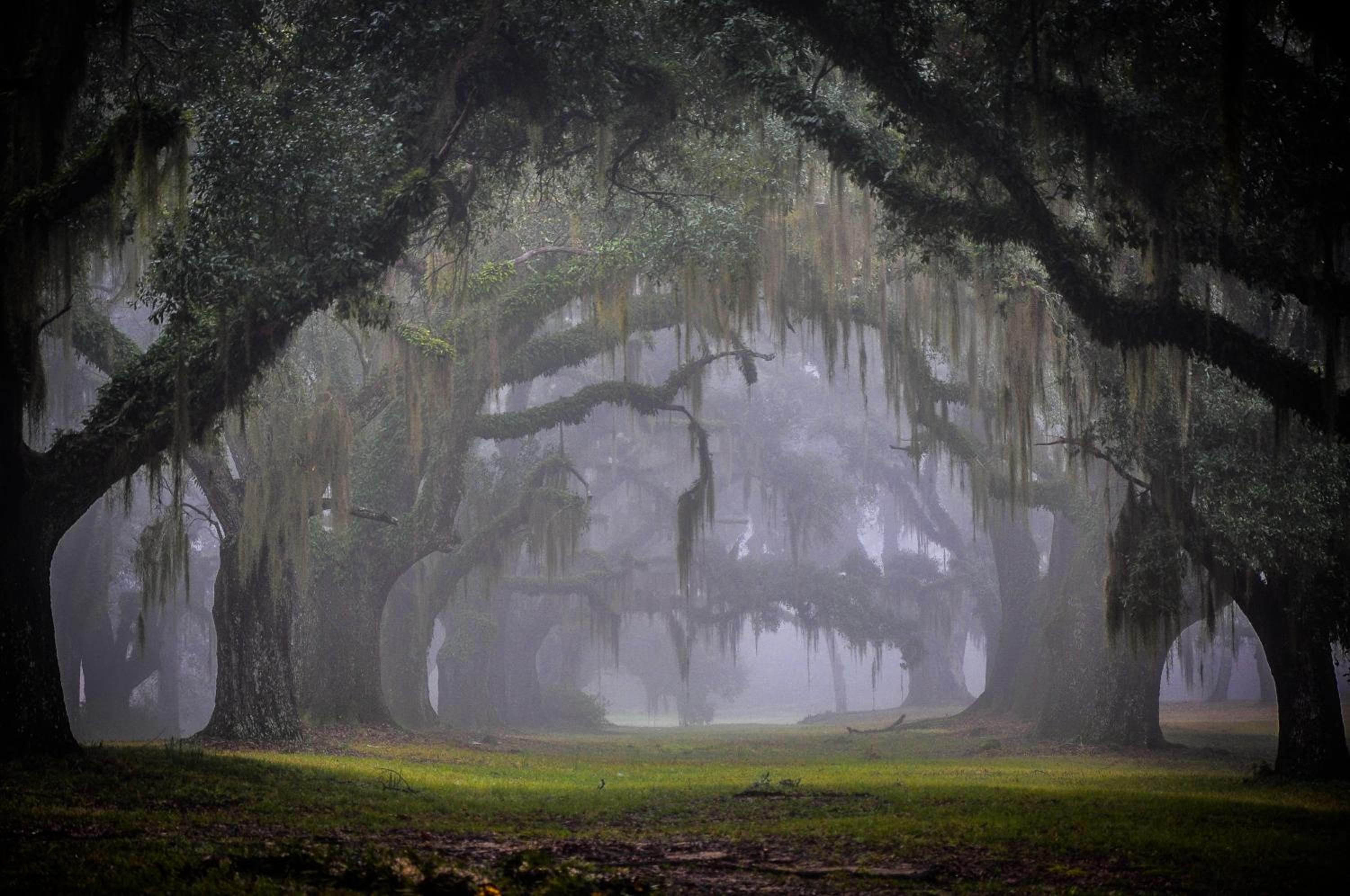 Greenwood Plantation B&B Inn
