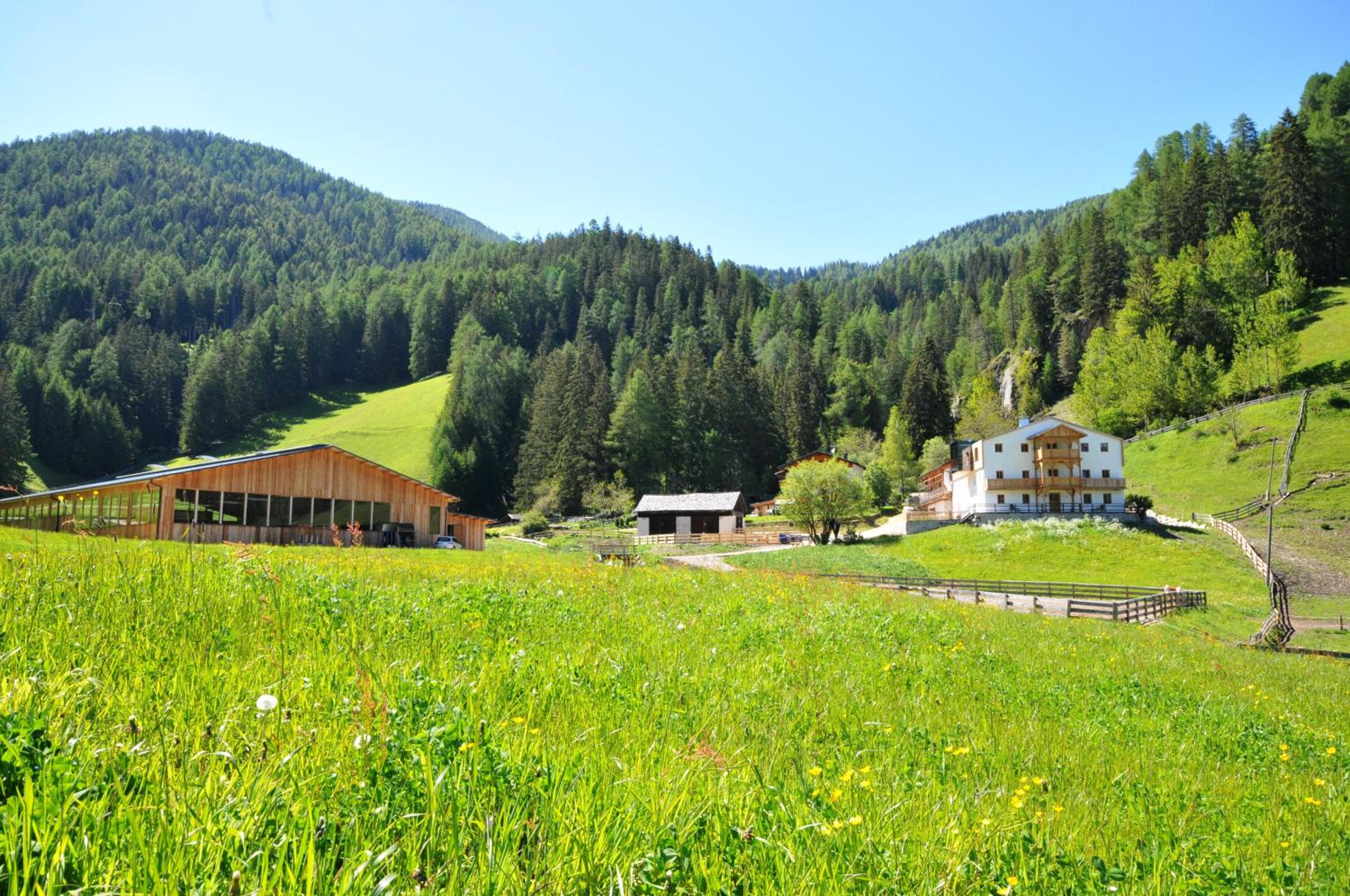 Steinwandterhof view 2