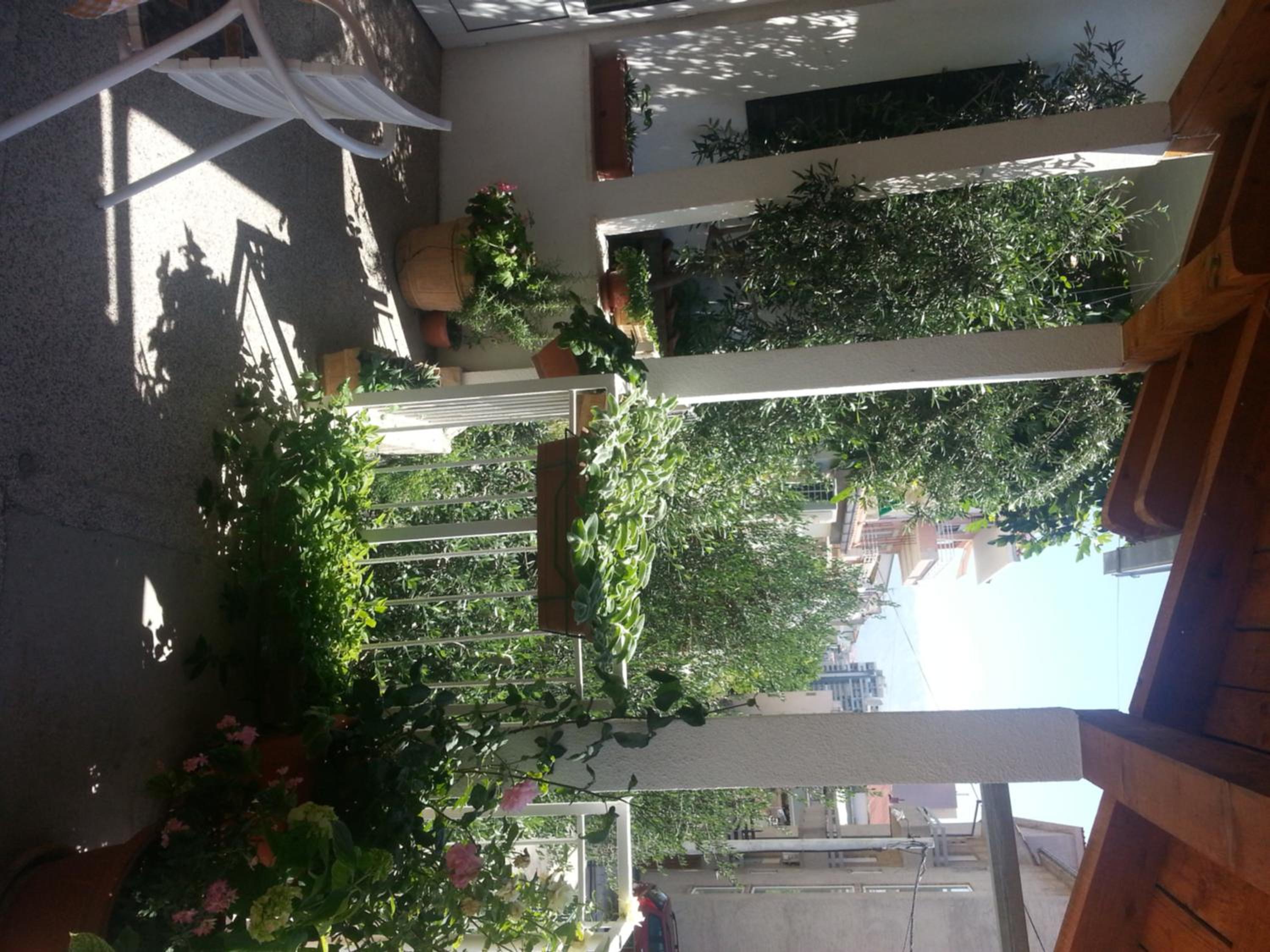Photo 39