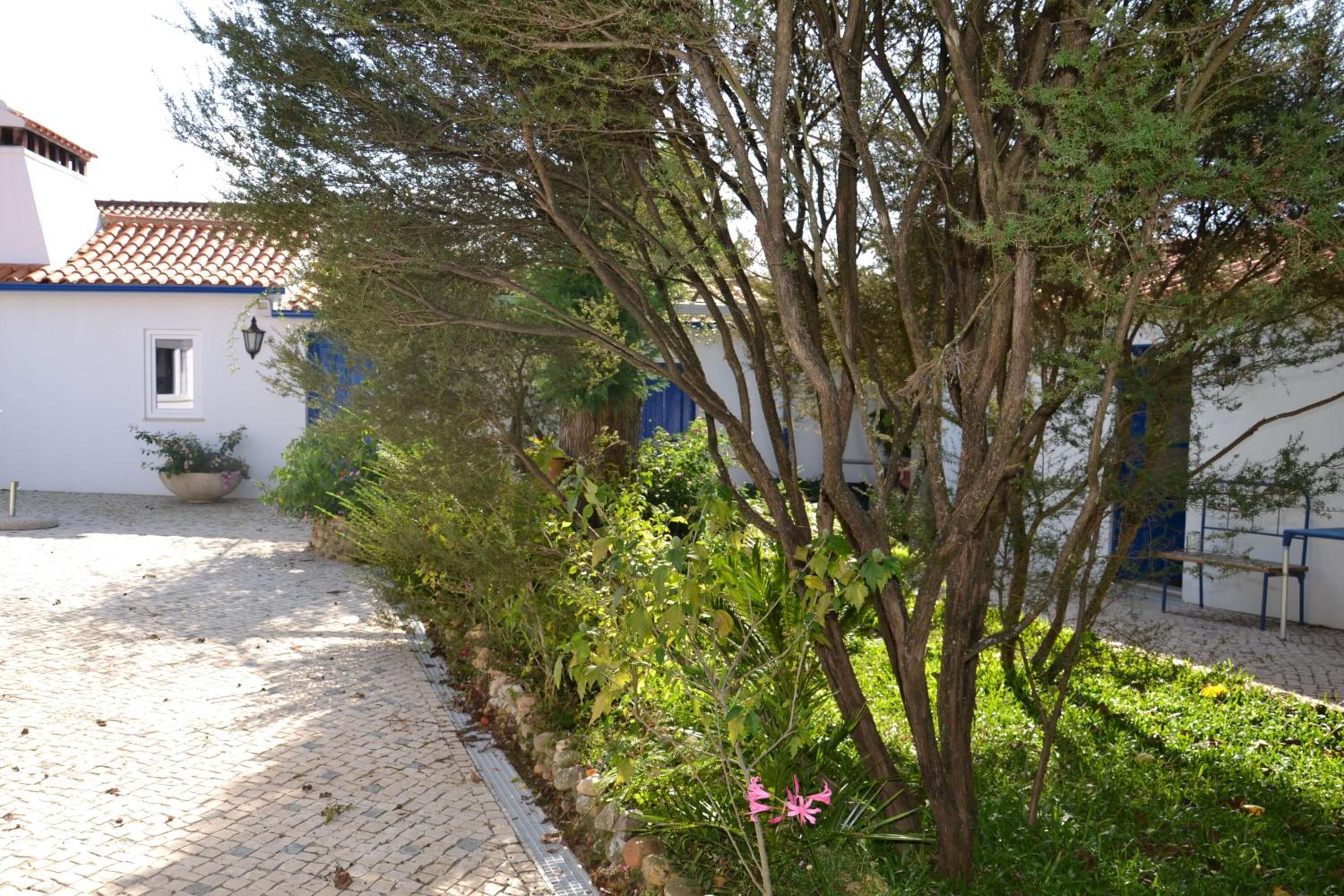 Quinta D'Avó Amélia