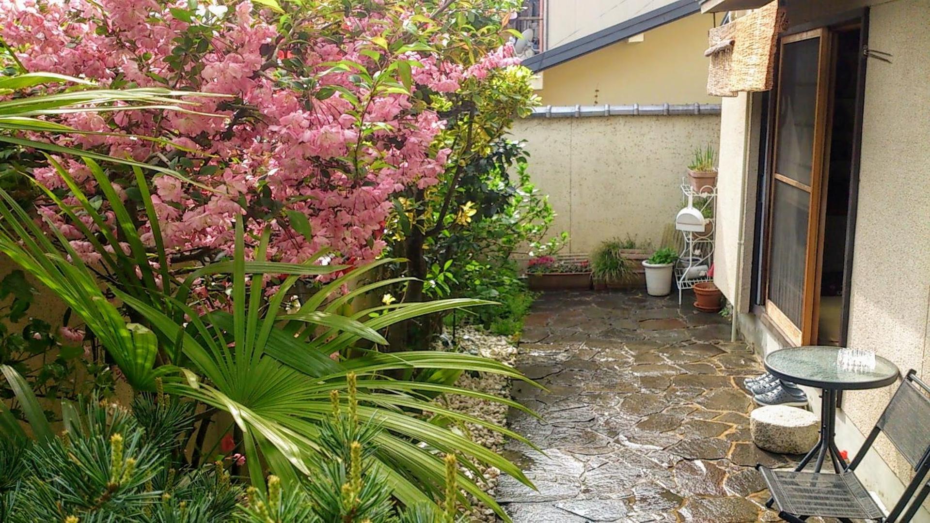 Photo 25