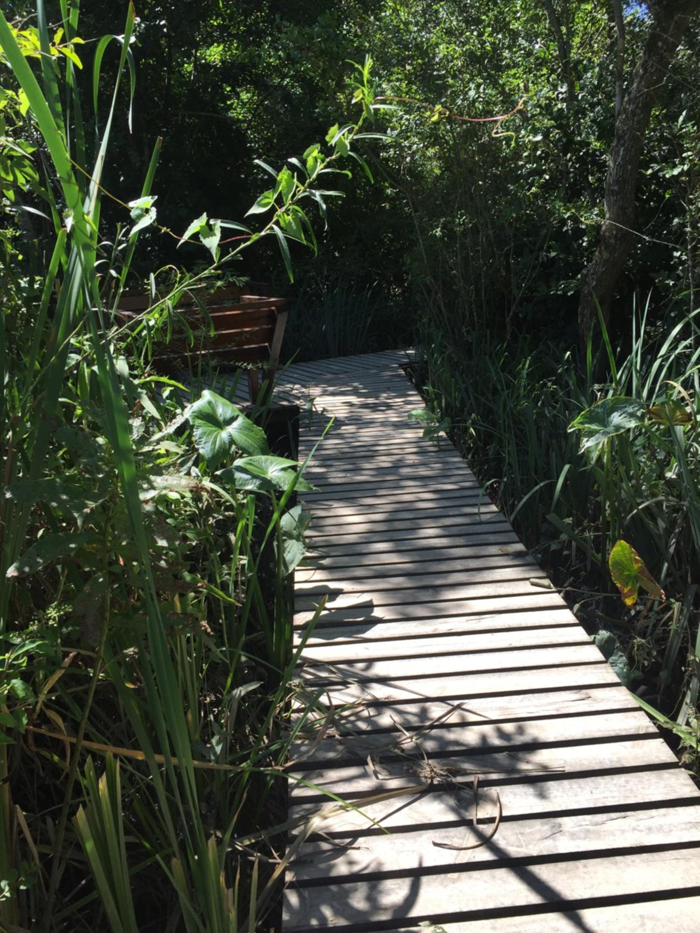 Cabaña en el Delta Arroyo Pajarito a 20 minutos de navegación
