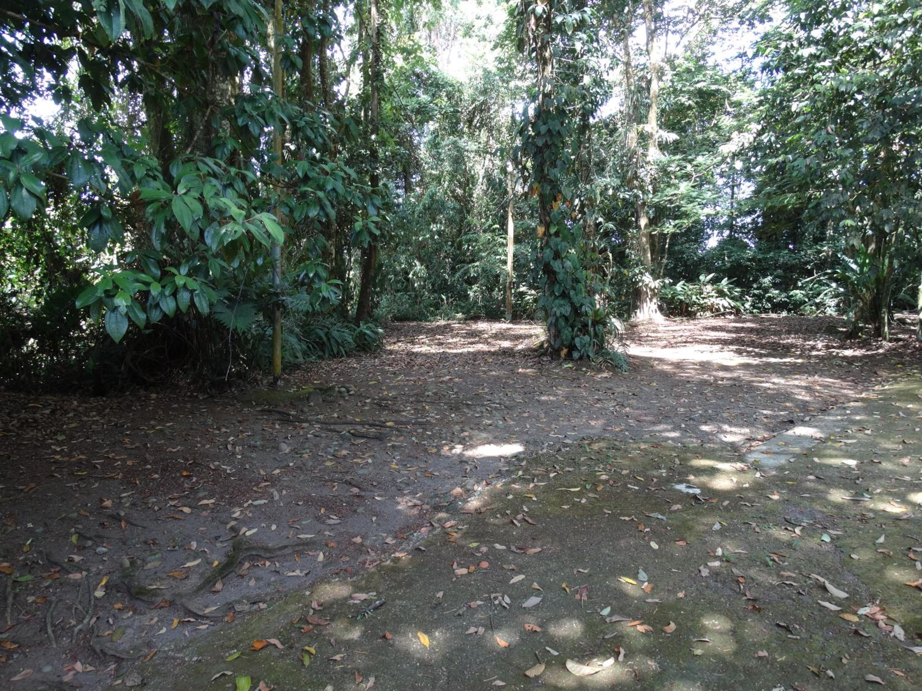 Horquetas River Lodge