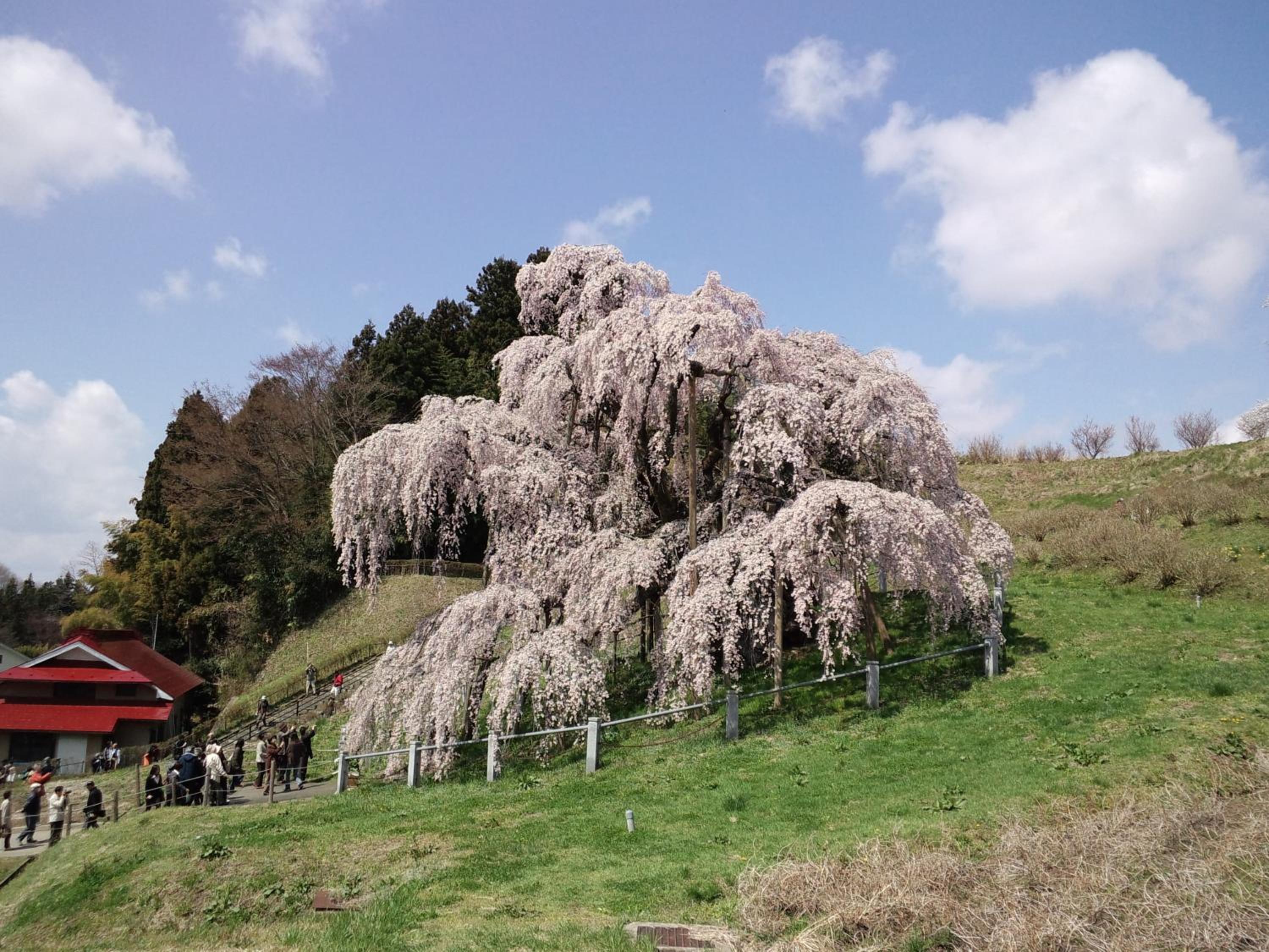 Azumakan