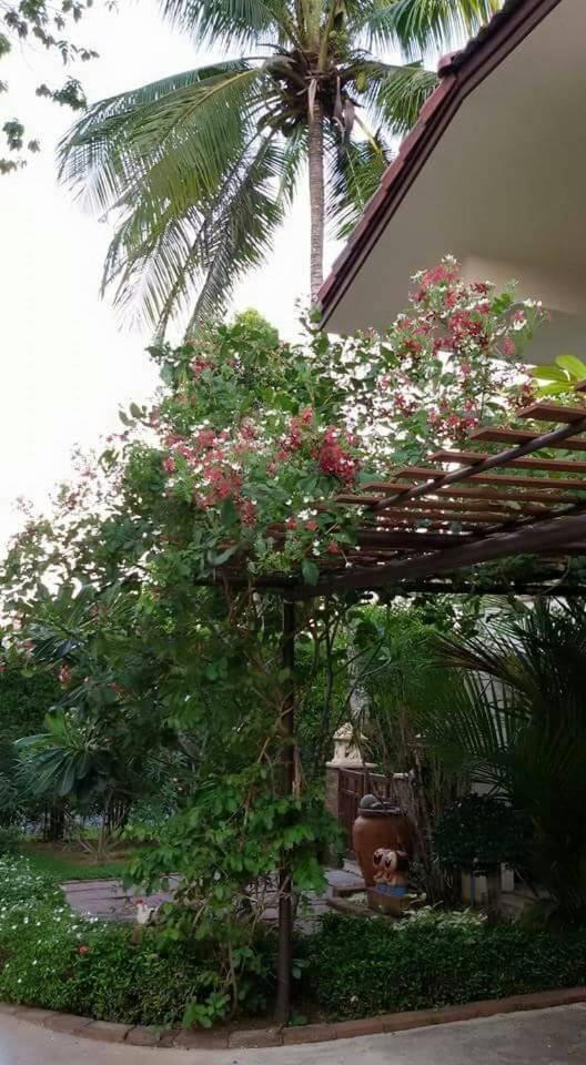 Periwinkle Villa