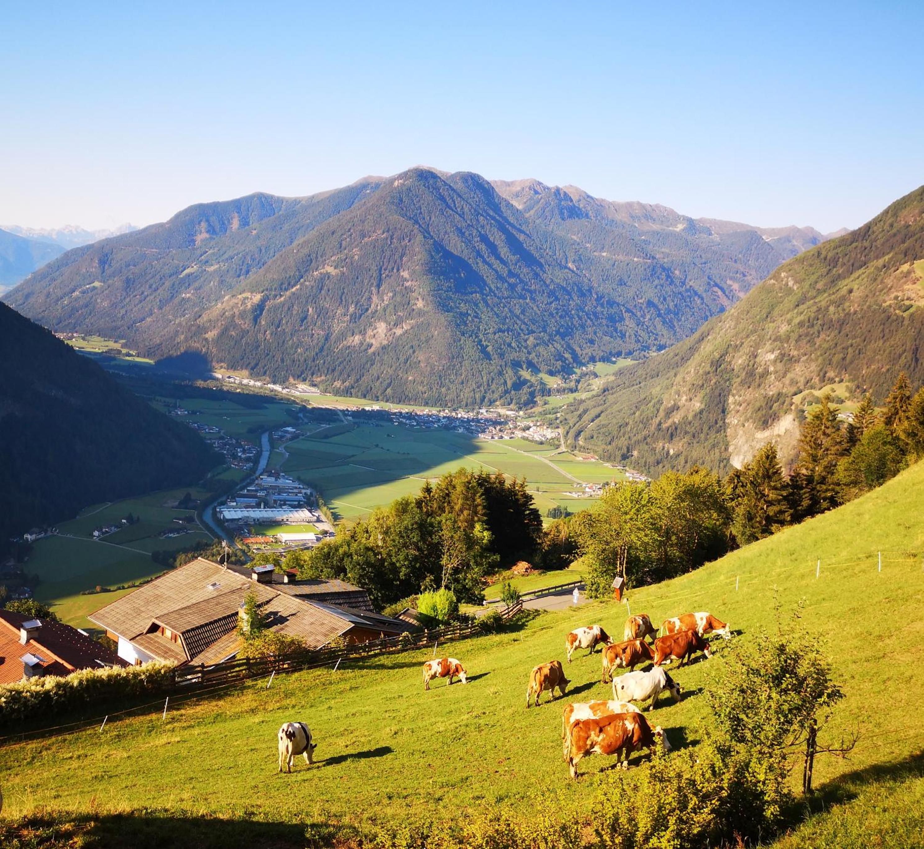 Aussermairhof view 4