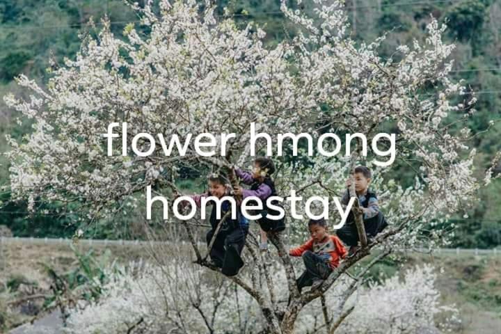 Flower hmong homestay