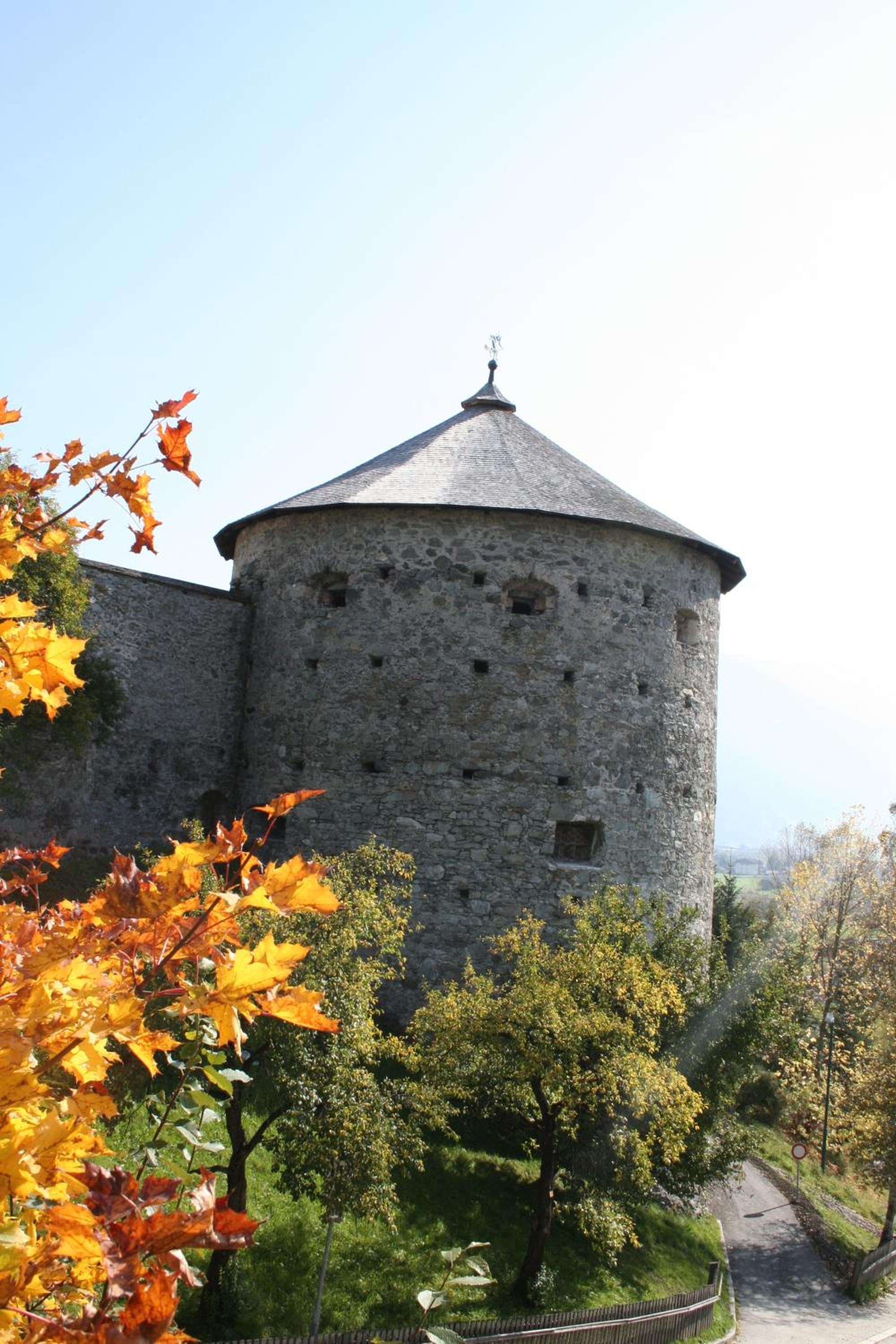Photo 41