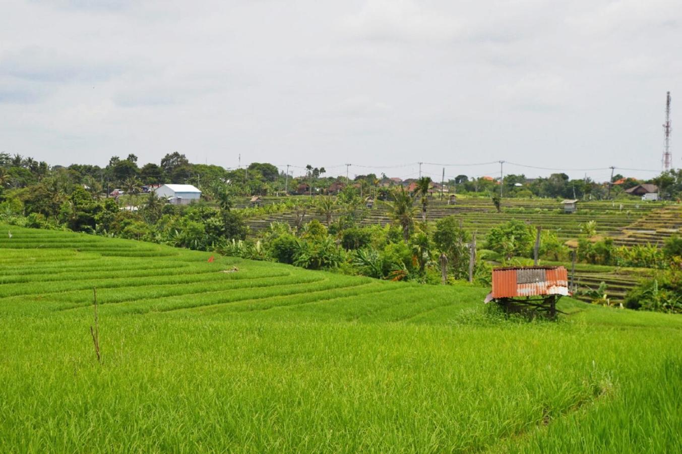The Bali Dream Villa & Resort Echo Beach Canggu — photo 40