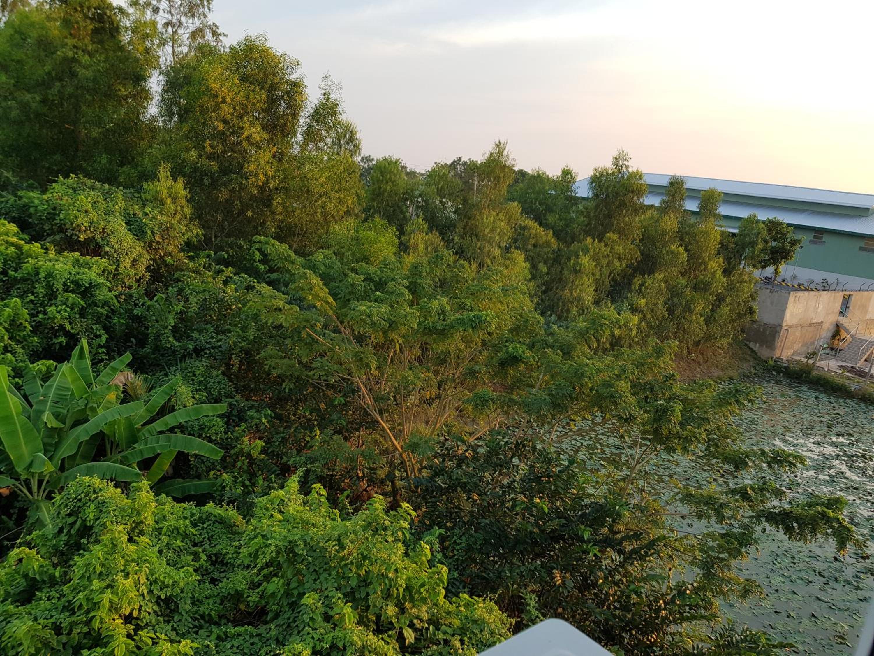 Minh Kim Guesthouse view 5