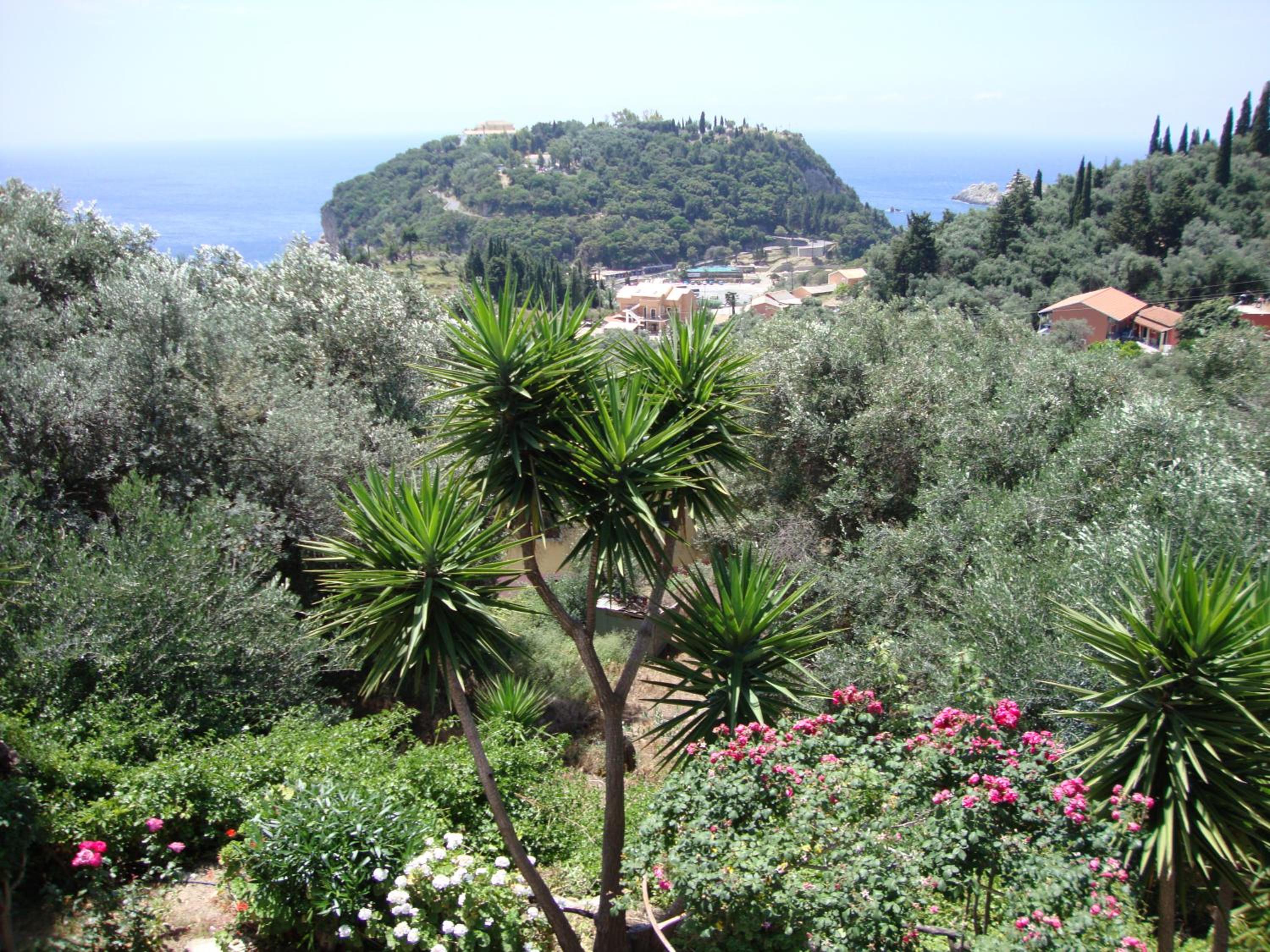Photo 25