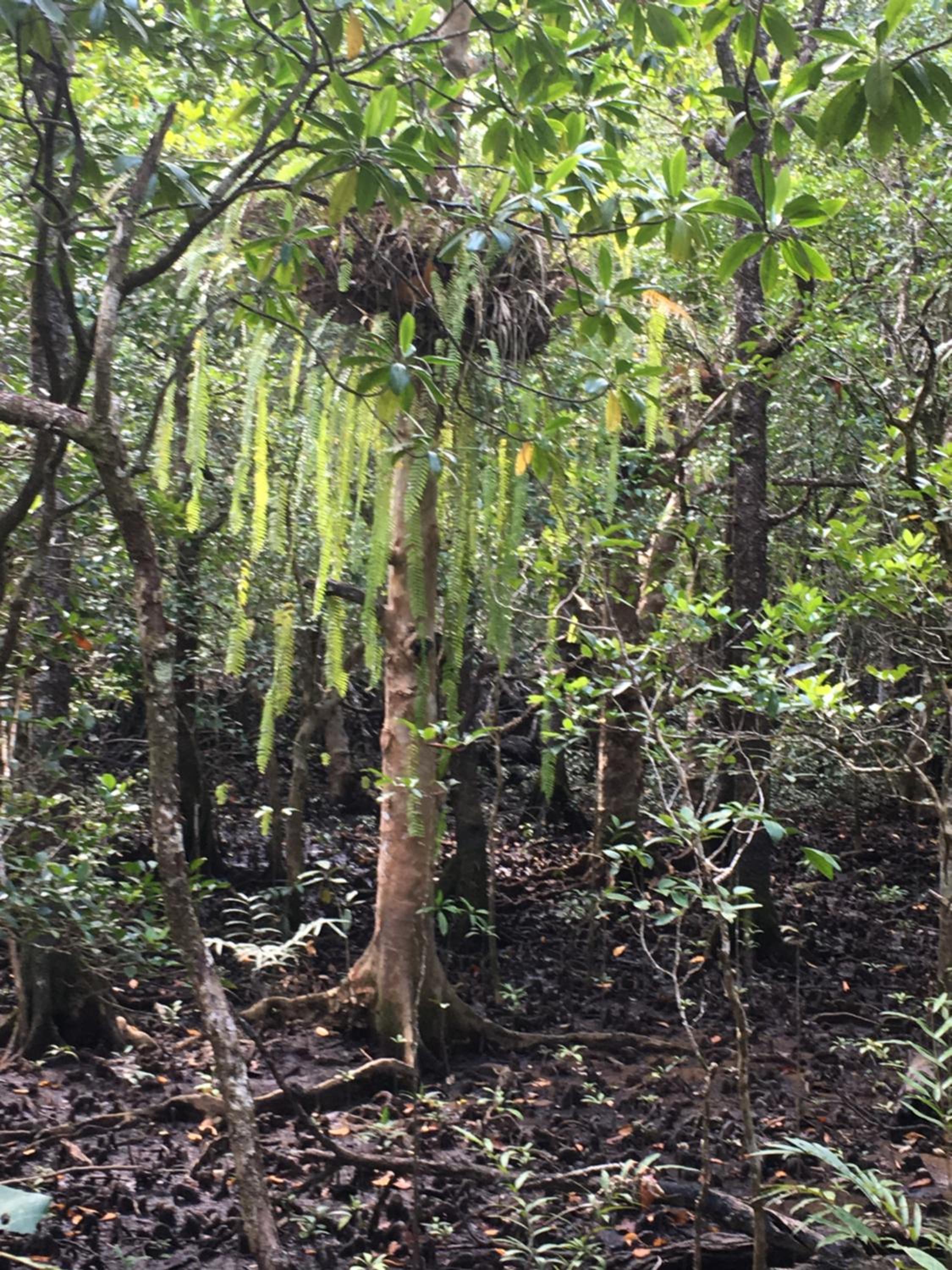 Egrets Rest