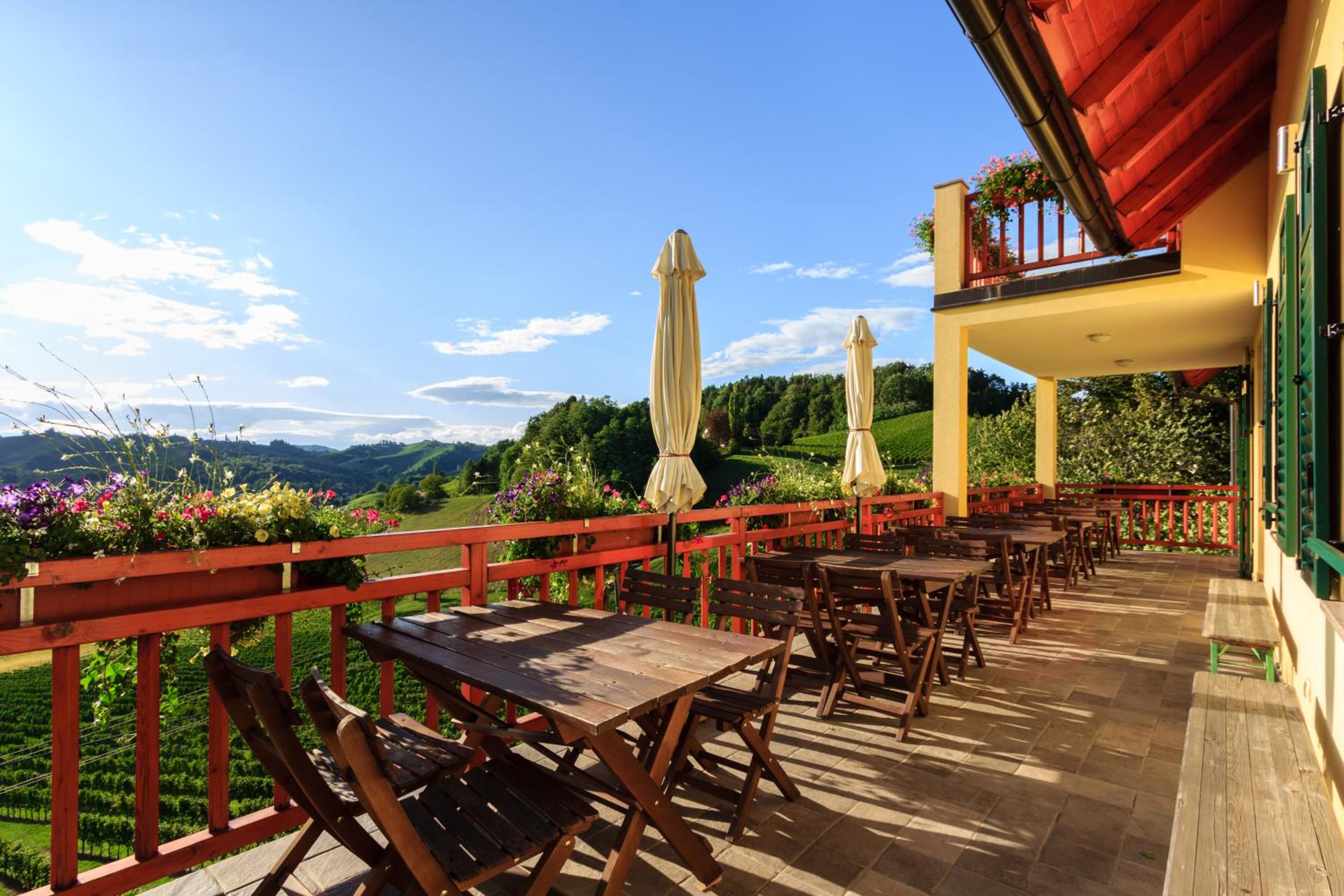 Farm Stay Jarc Vineyard view 2