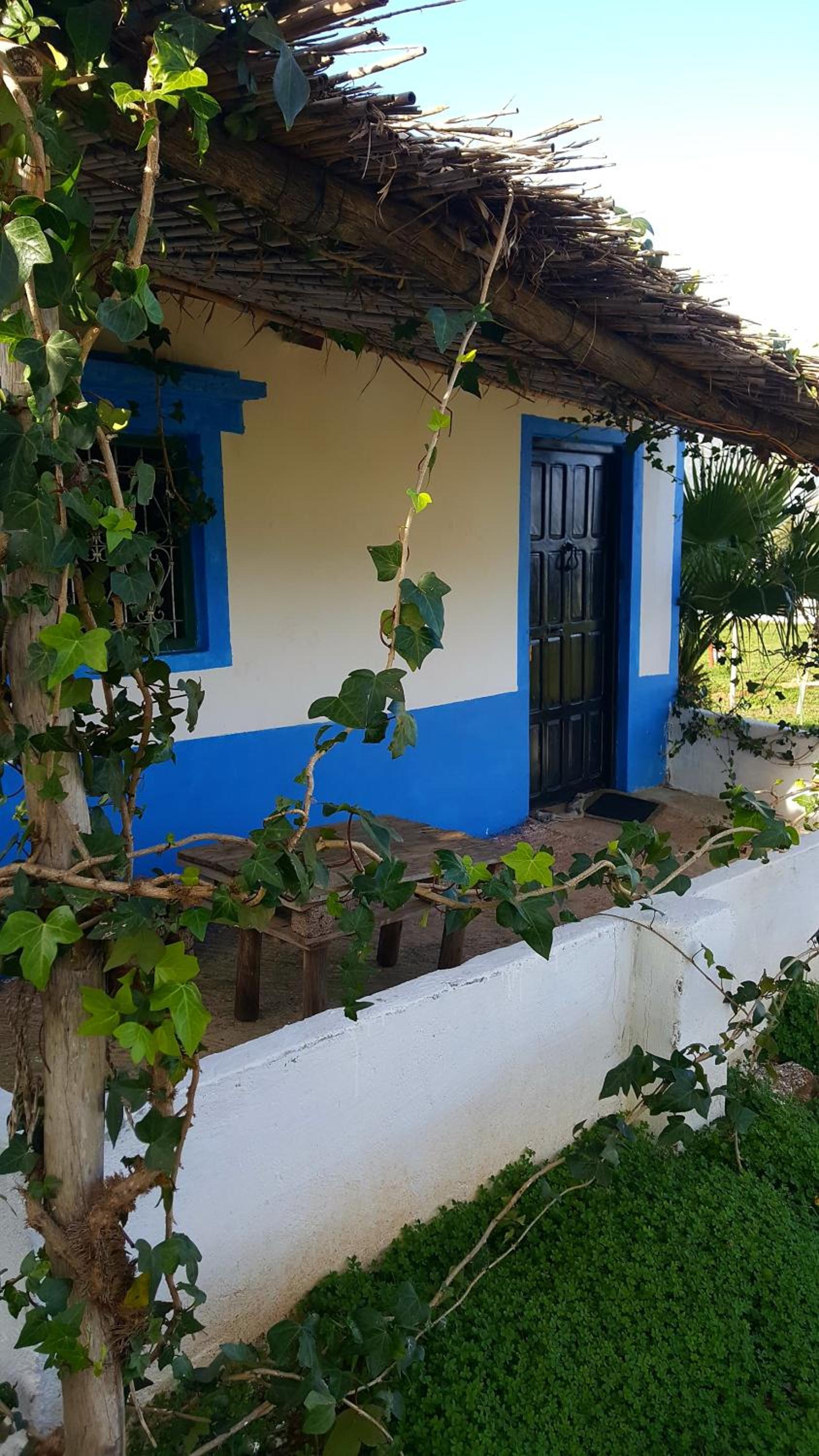 Ferma Jebala Ecolodge view 5